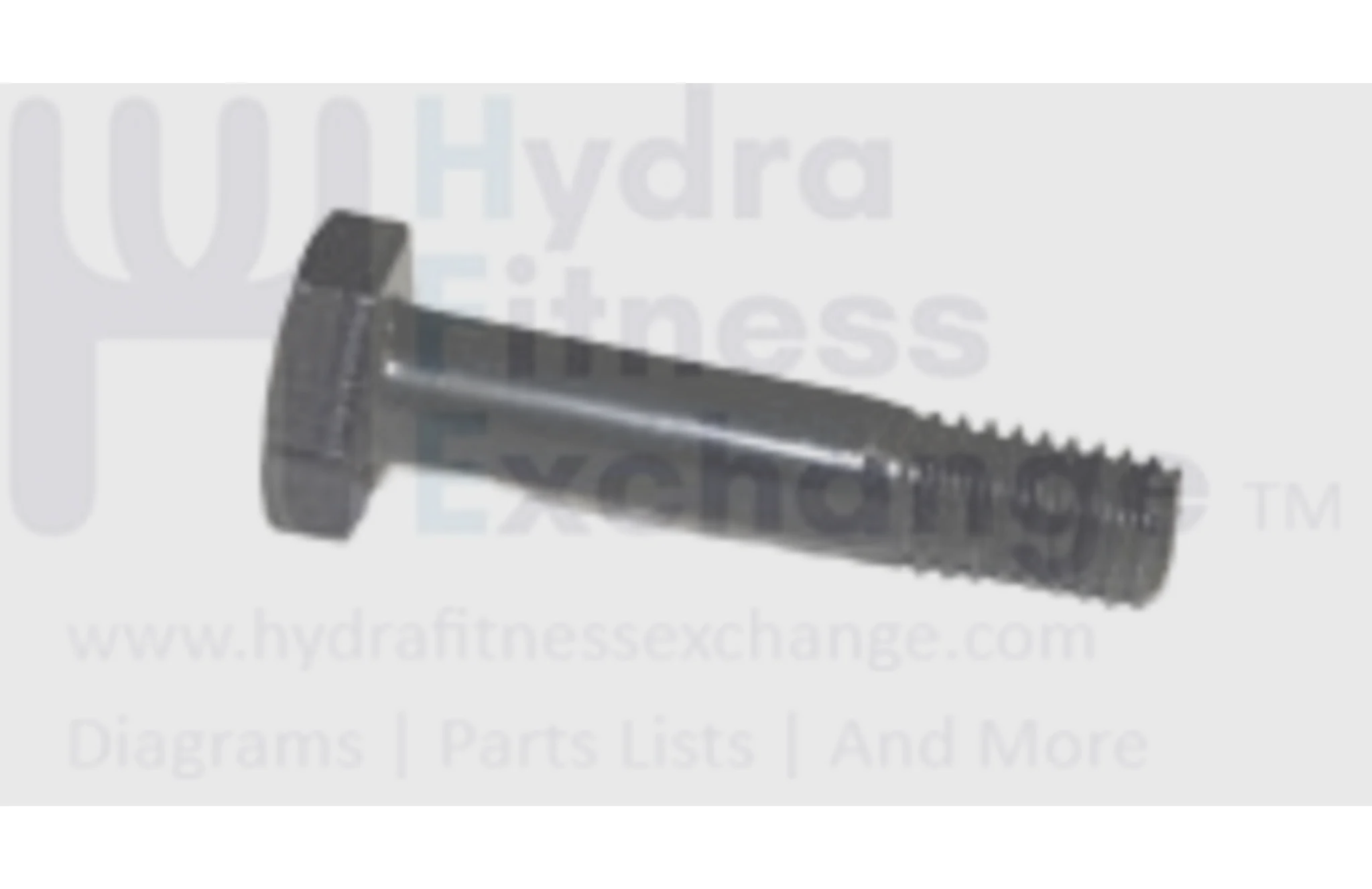 AFG Livestrong Vision Horizon Fitness Treadmill Screw 3/8" x 16UNC - 50L/14L 020169-B