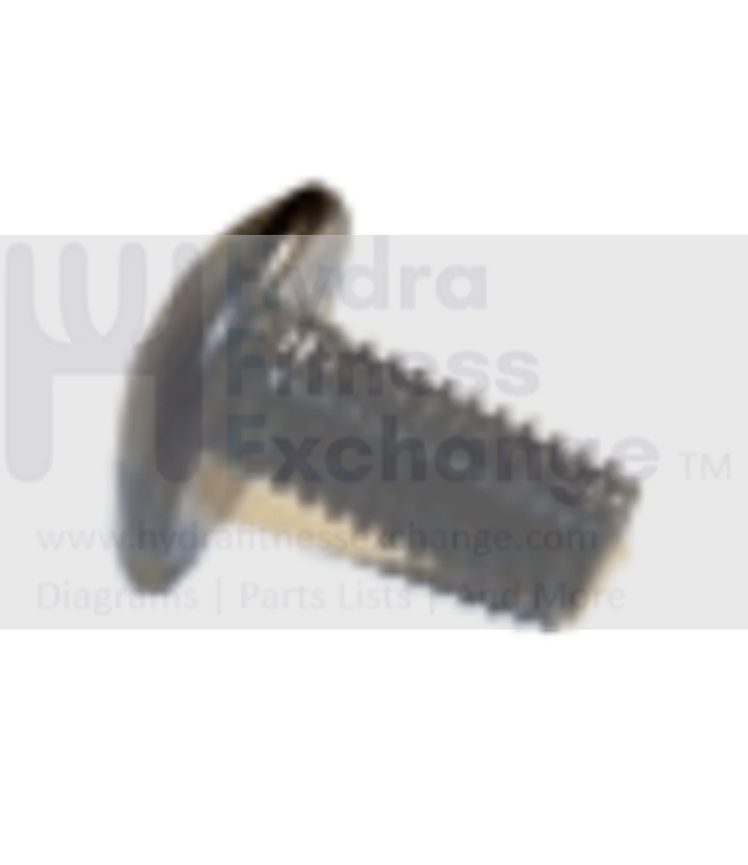 AFG Matrix Retail Commercial Vision Horizon Fitness Elliptical Screw 004370-00