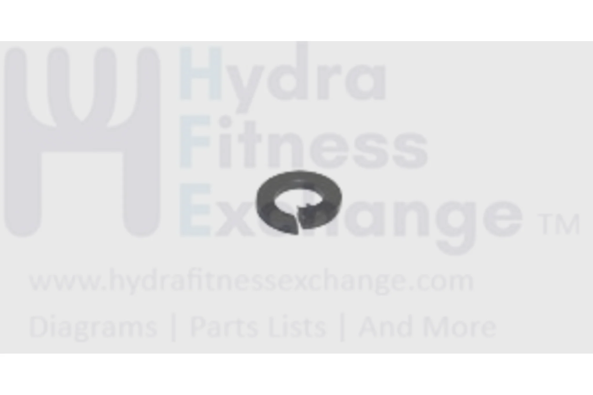 AFG Matrix Retail Vision Horizon Fitness Elliptical Spring Washer 005015-00