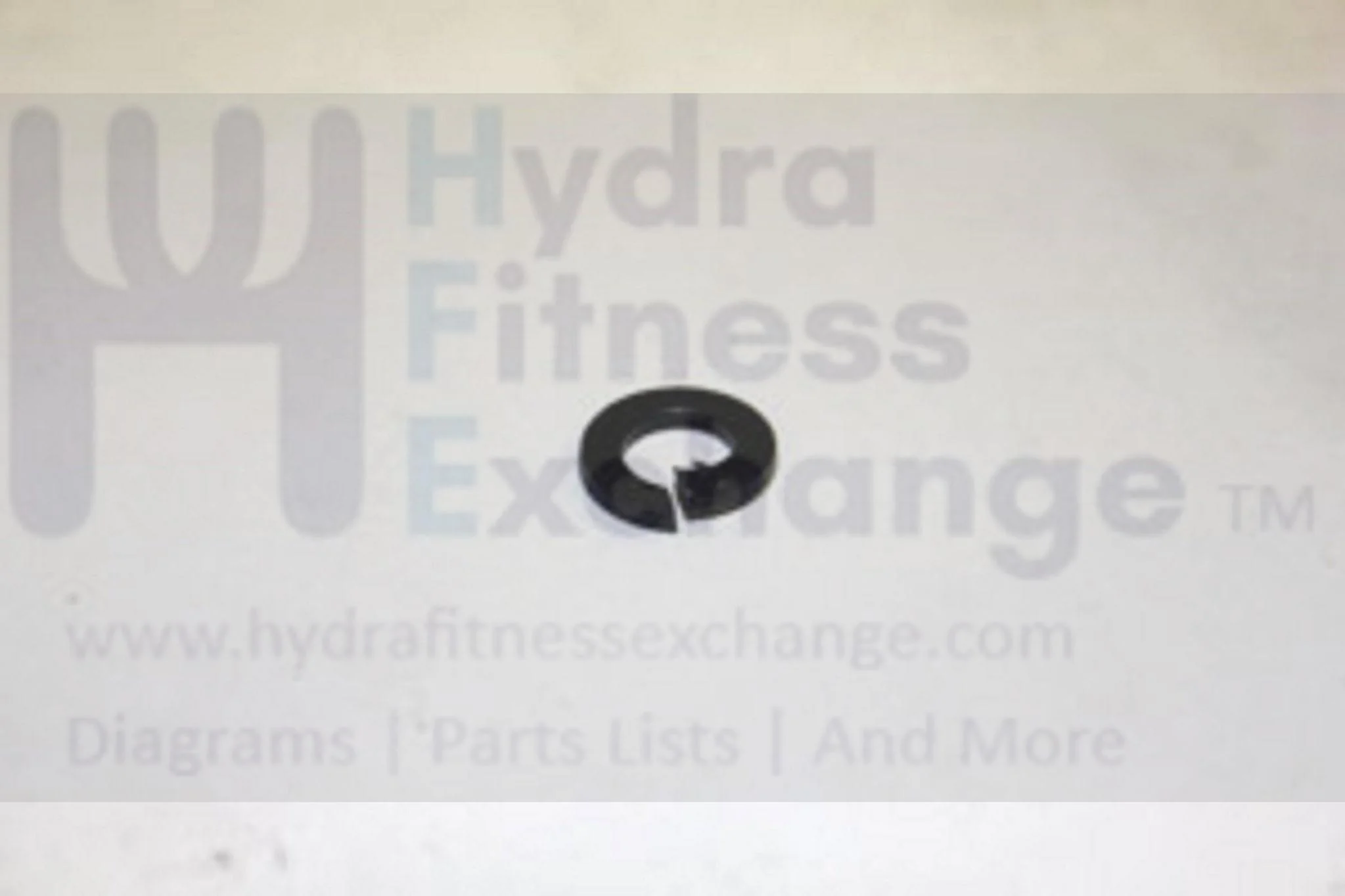 AFG Matrix Retail Vision Horizon Fitness Elliptical Spring Washer 005015-00 - Image 2