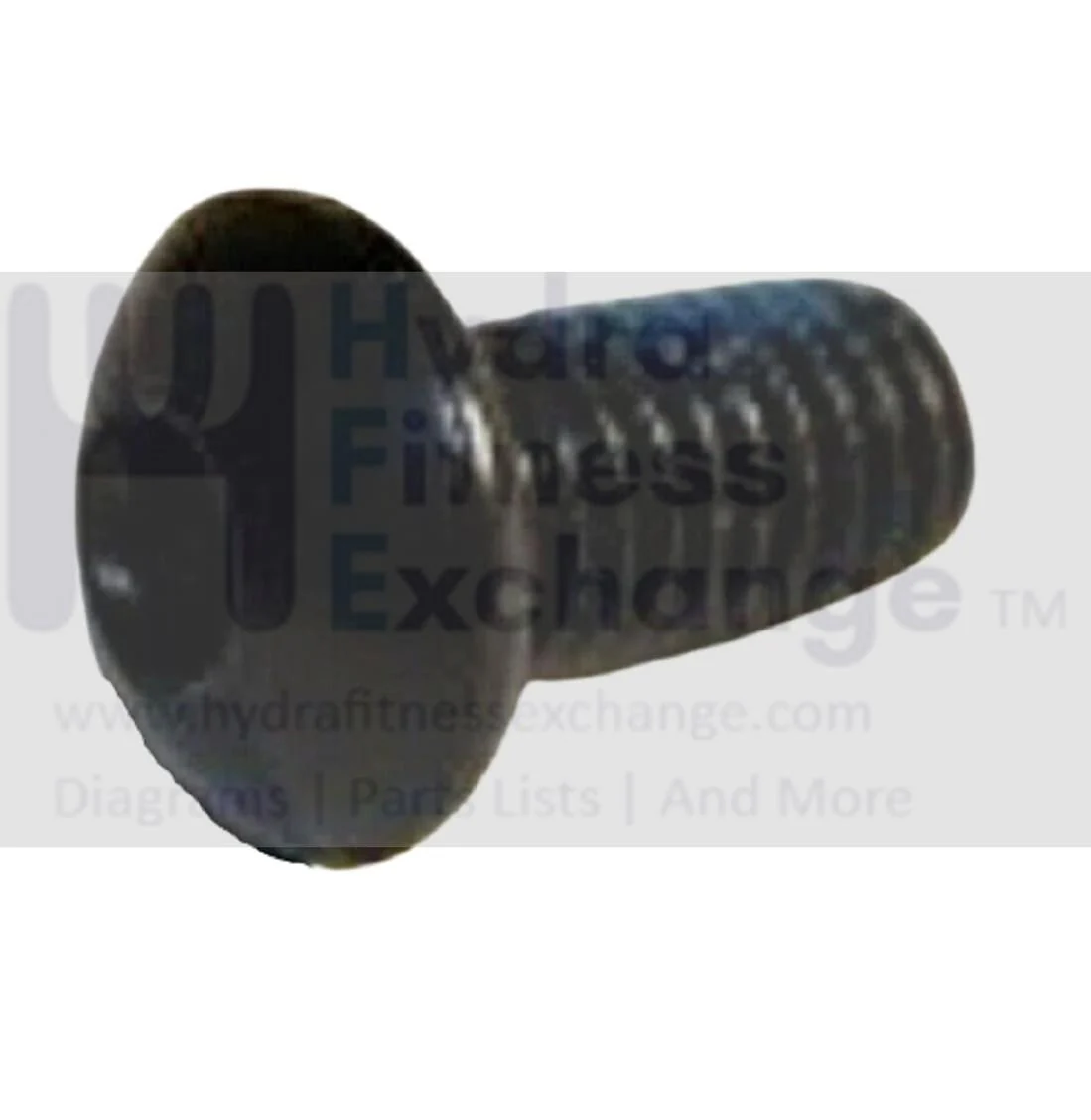 AFG Vision Fitness Upright Cycle Socket Hex Screw M8x1.25Px15L 004586-AB