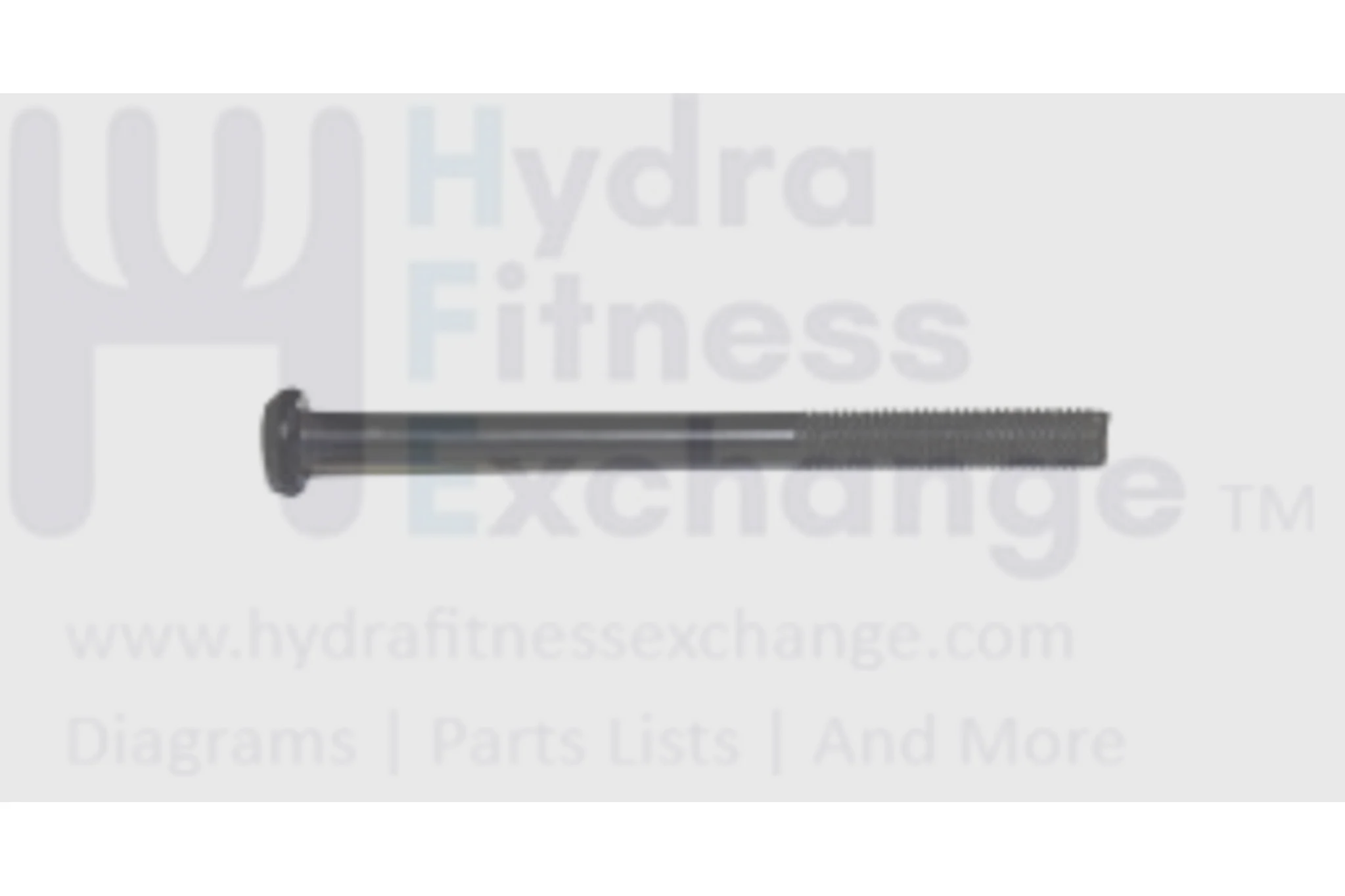 AFG Vision Horizon Fitness EP148 EP146 EP107 EP144 Elliptical Screw M5 - 0.8P x 65L 020027-AB