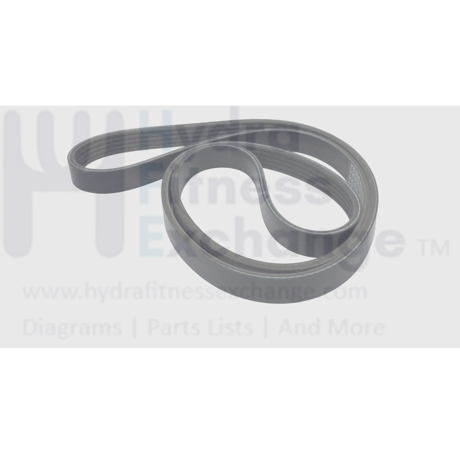 Body Solid BFSB-10 Spinner Stationary Bicycle Pulley Drive Belt 5 Ribs BFSB10-11 - Image 6