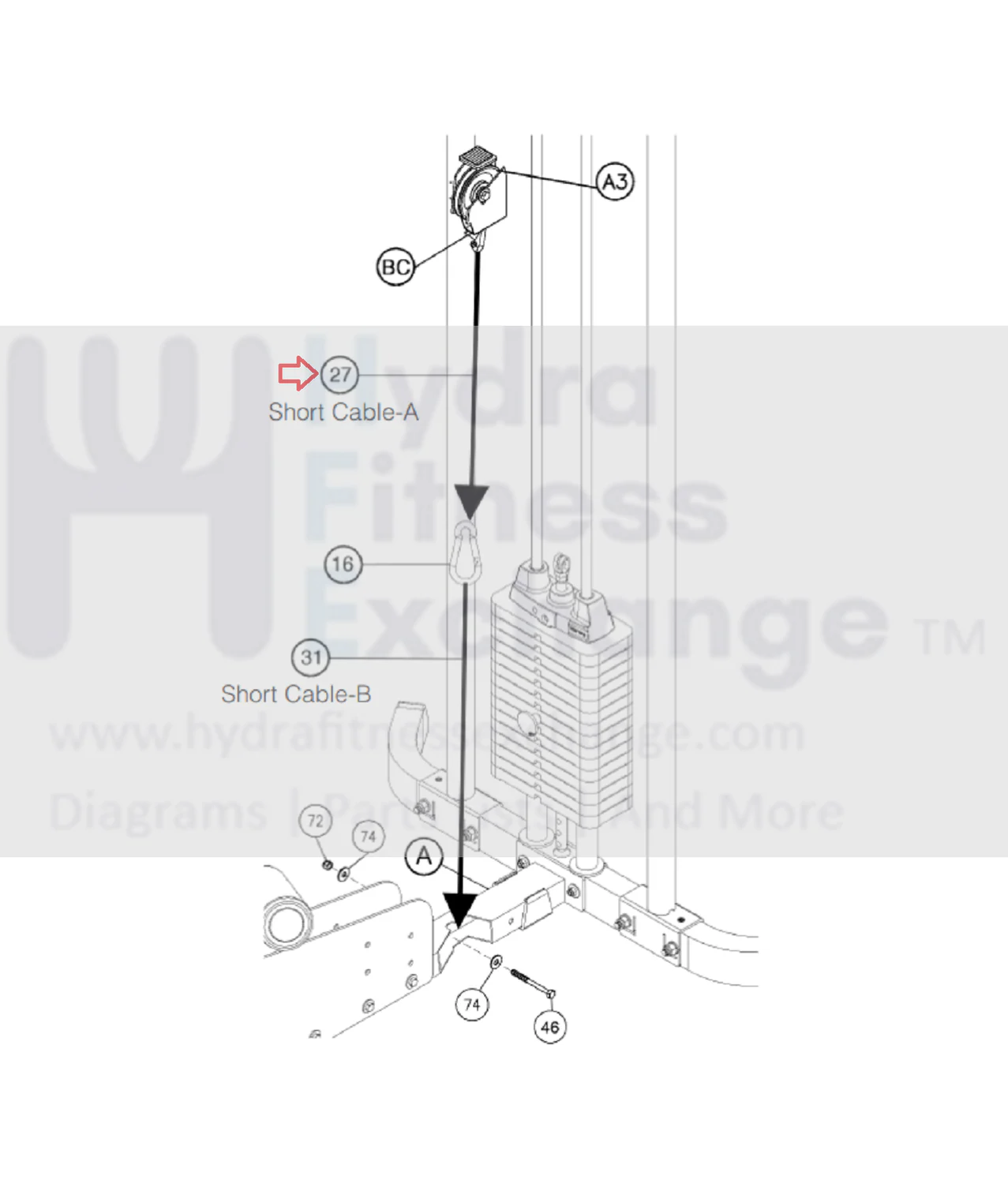 Body Solid G4I Strength System Short Cable 810mm 32.5" JSC-A825.5 - Image 2