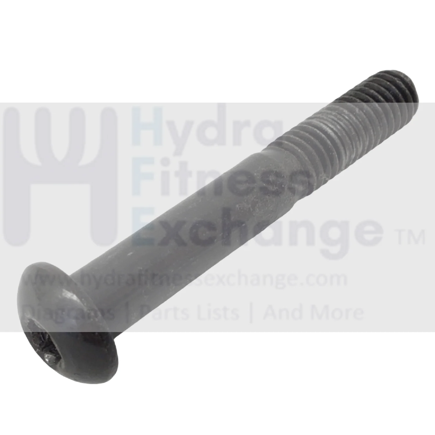 Bowflex BFX Blaze Single Pack Strength System Button Head Screw 3-8-16x 2.50"