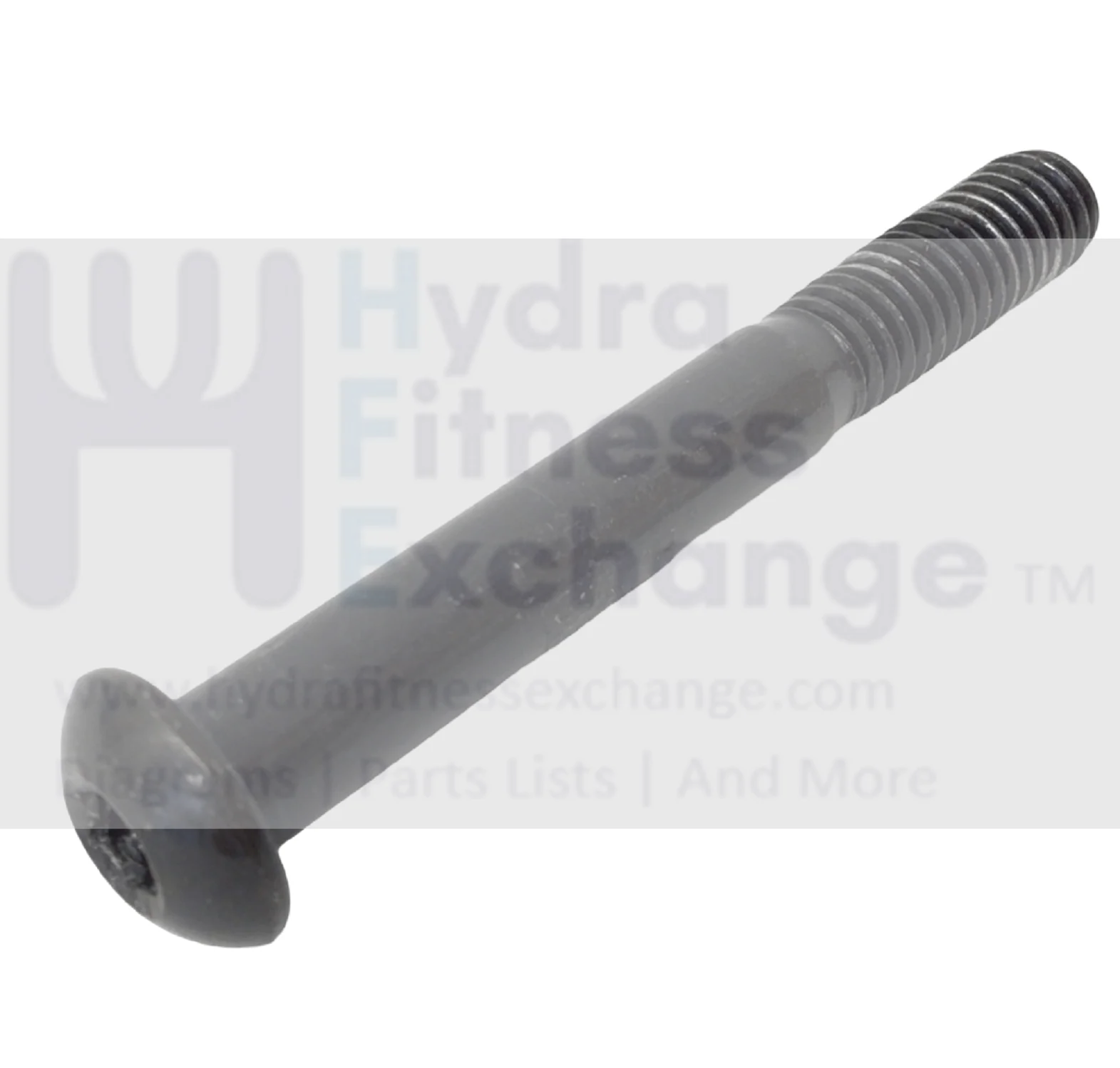 Bowflex BFX Blaze Single Pack Strength System Button Head Screw 3-8-16x 3 Inch