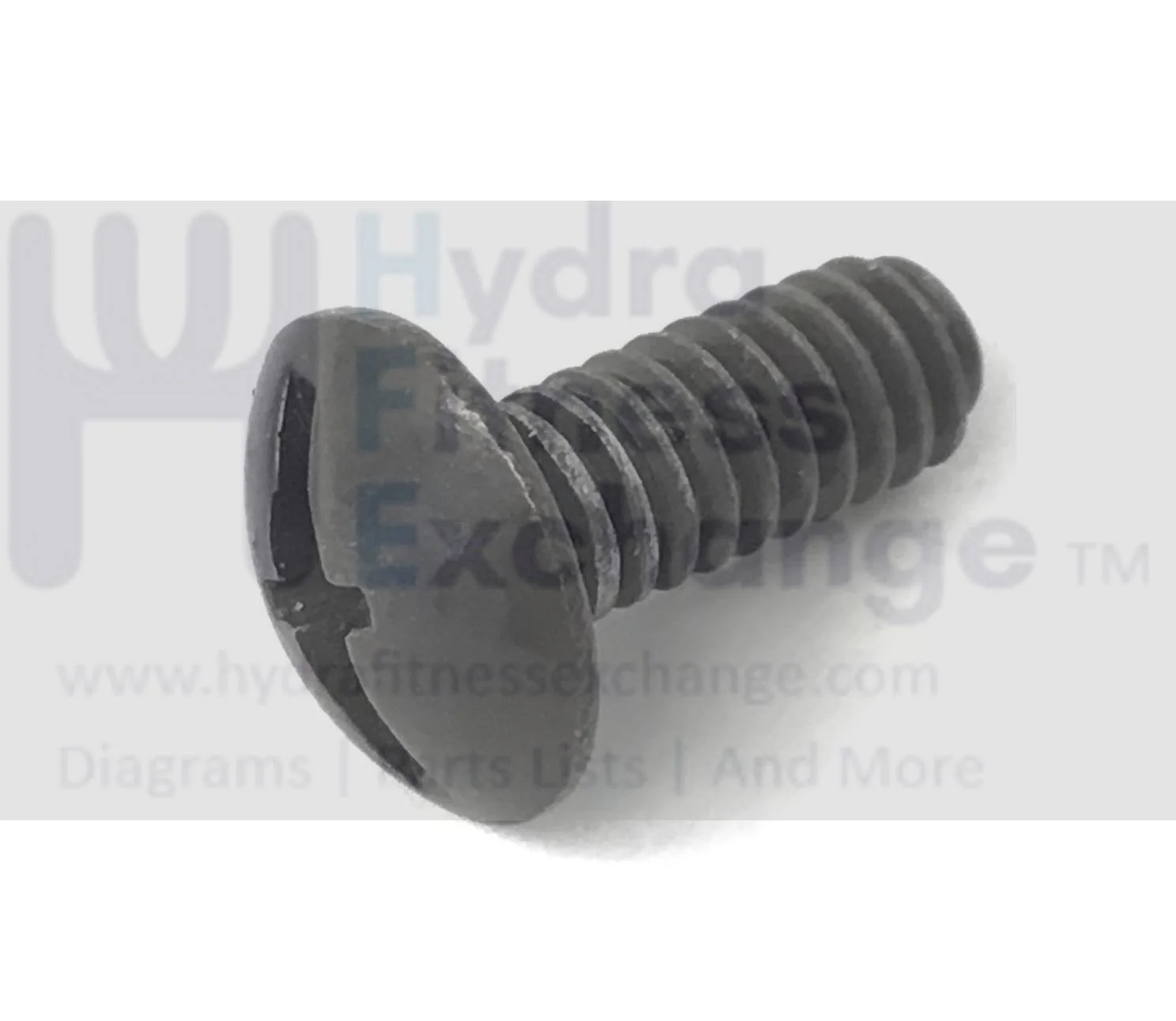 Bowflex Blaze Single Pack Strength System Phillips Head Screw 1 - 4 x 20/0.60 - Image 2