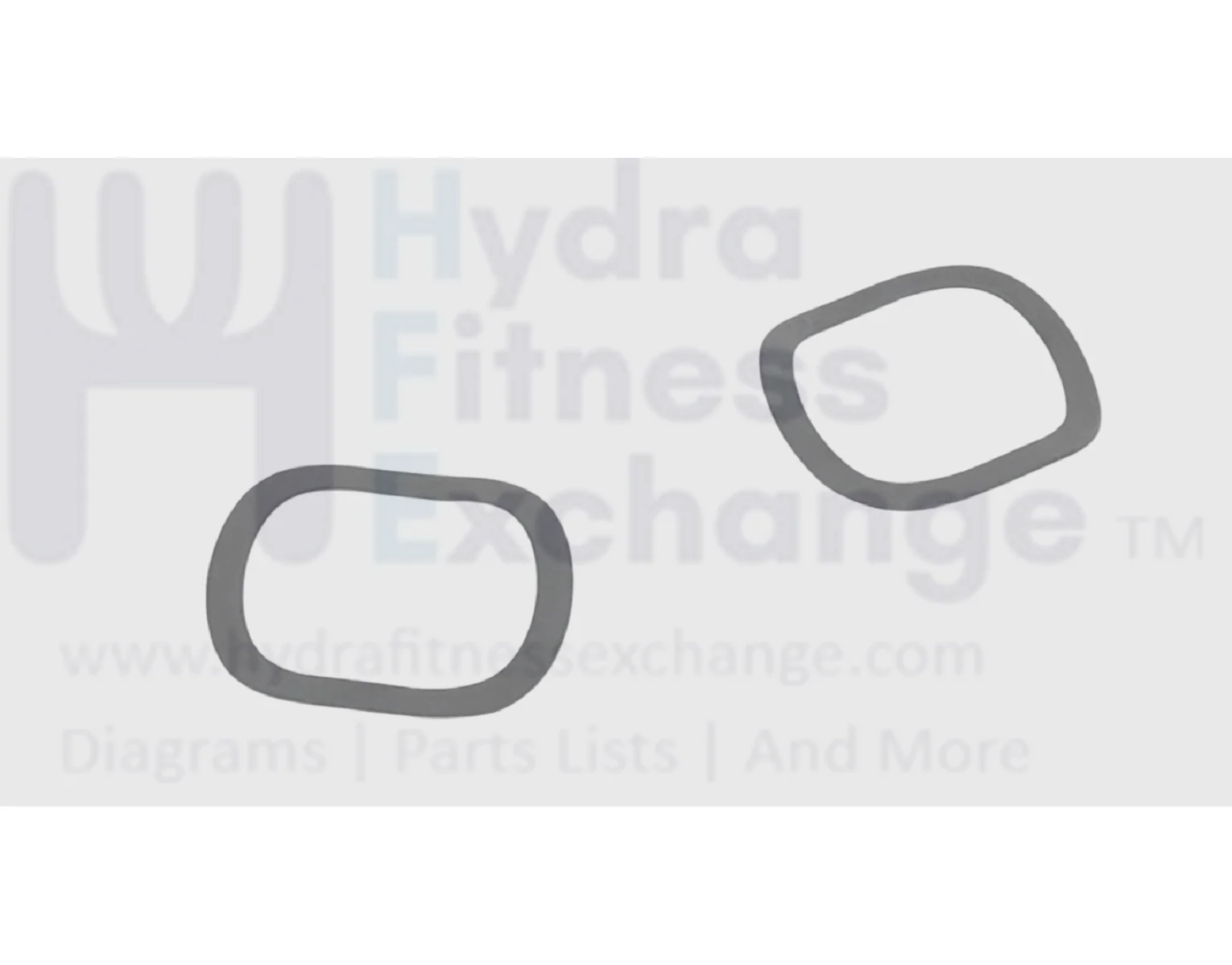 Bowflex Elliptical Wave Washer 2 pack 1000512946