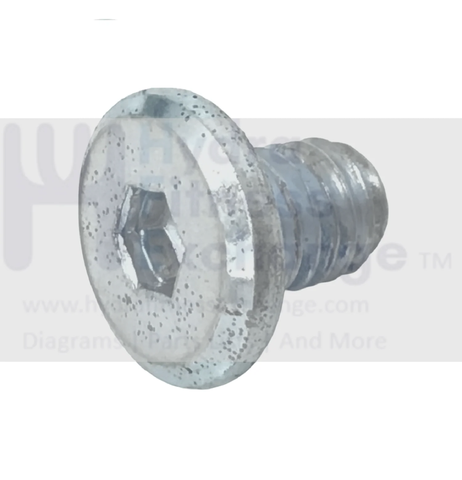 Bowflex Strength System Flat Head Screw Chrome M8-1.25 X 10mm - Image 2