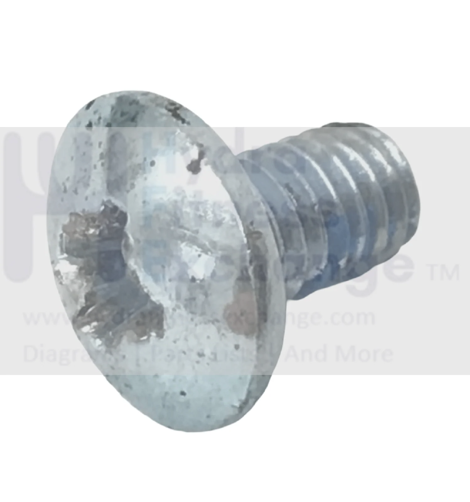 Bowflex Strength System Screw Phillips M6-1.0-9.5mm