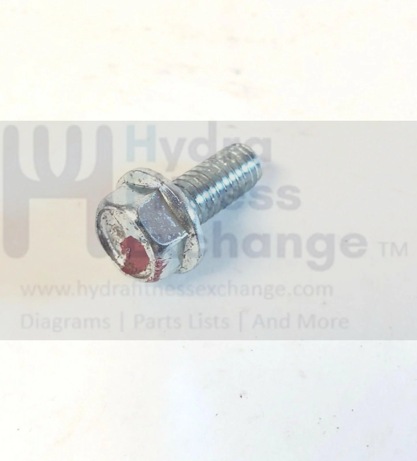 Bowflex TC6000 TC5300 Treadclimber Treadmill Flange Screw 5/16"-18x0.70"