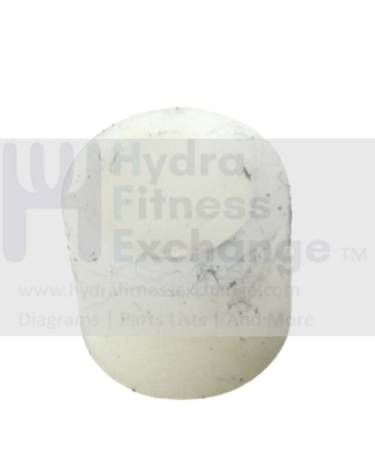 Concept 2 DYNO Model C D E W PM5 Rower Shock Cord Pulley Axle Spacer 1310