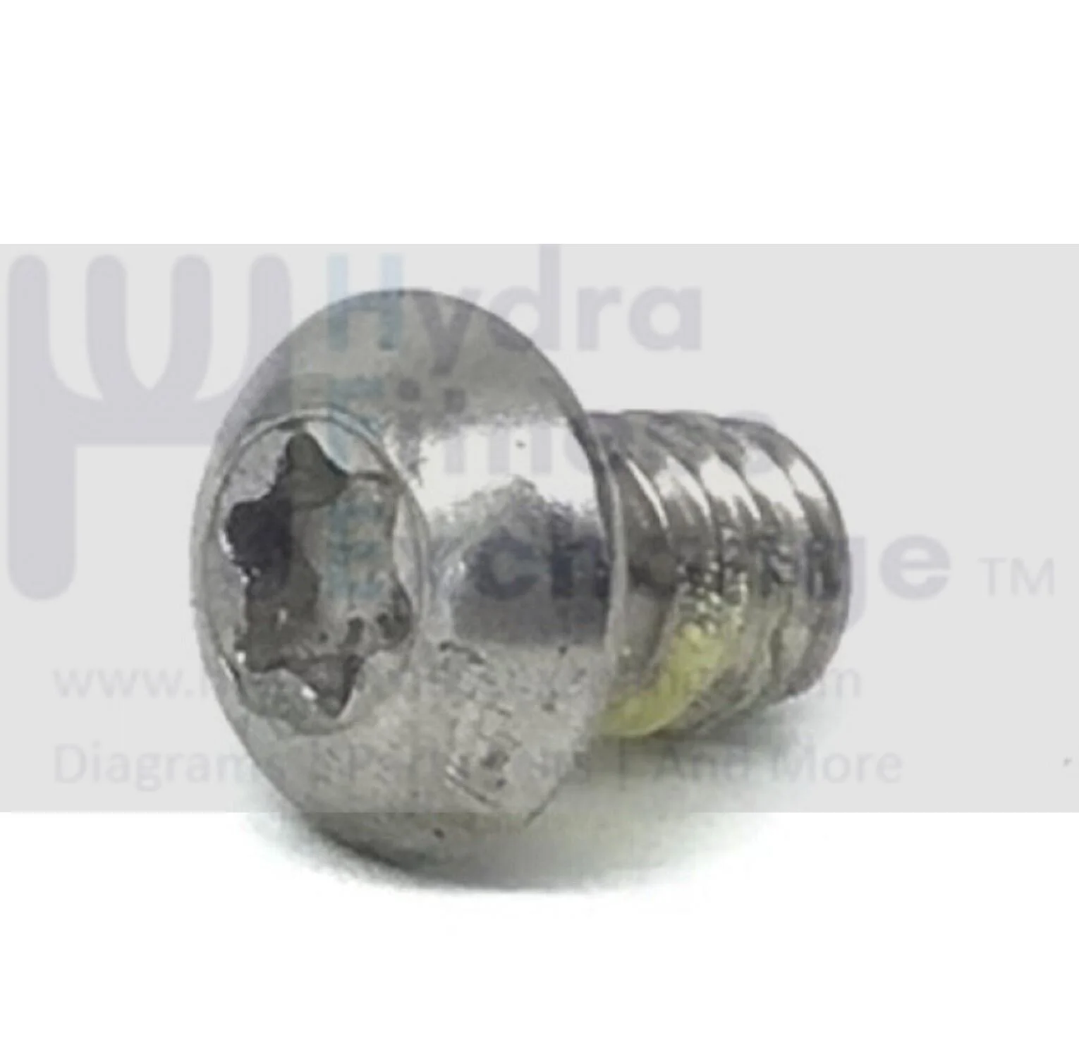 Concept II Model C D w PM5 Rower 6-lobe Button Head Screw 1/4"-20x3/8" 1238
