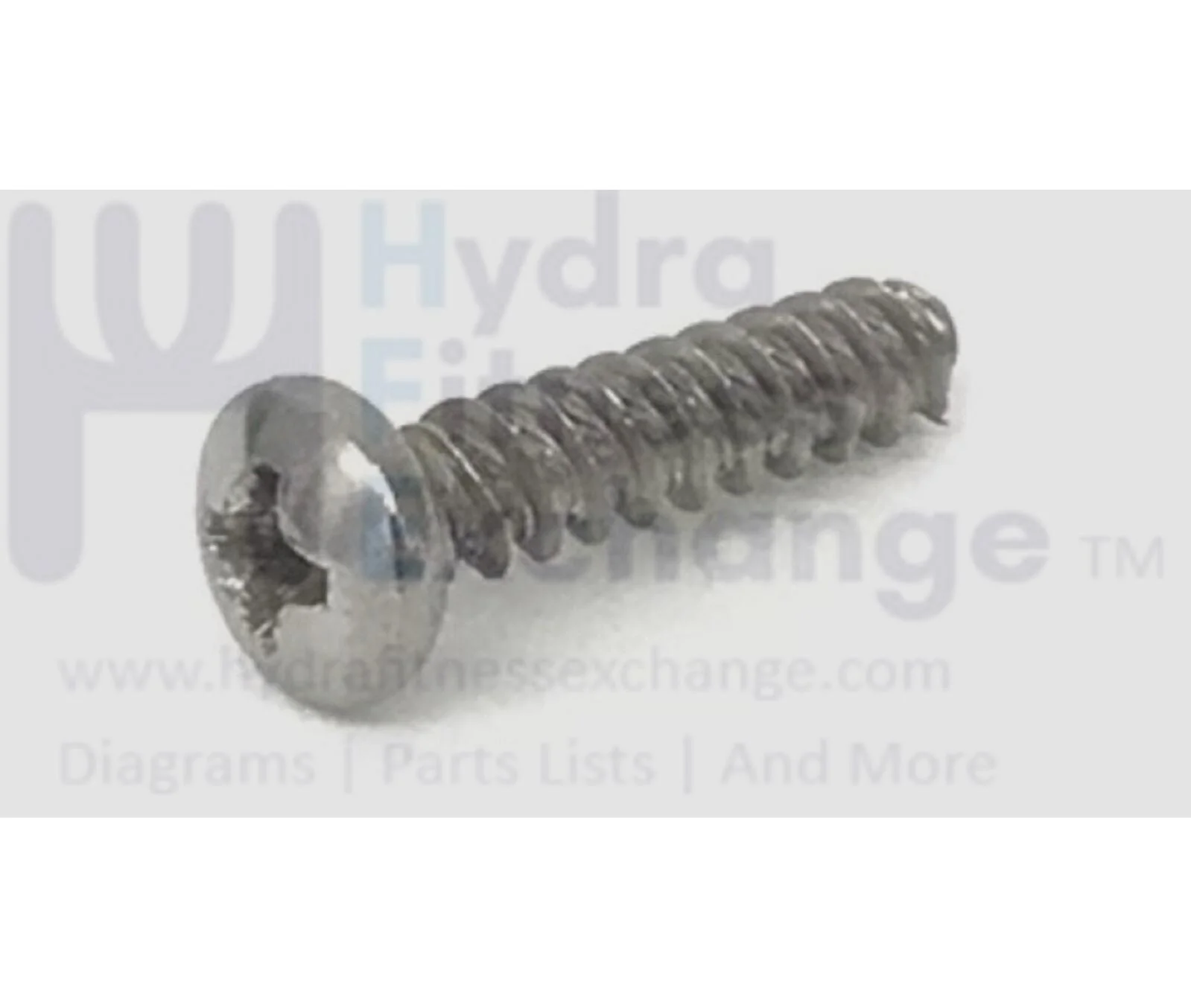 Concept II Model D w PM5 Indoor E Rower Button Head Phillip Screw 10x3/4" 1242