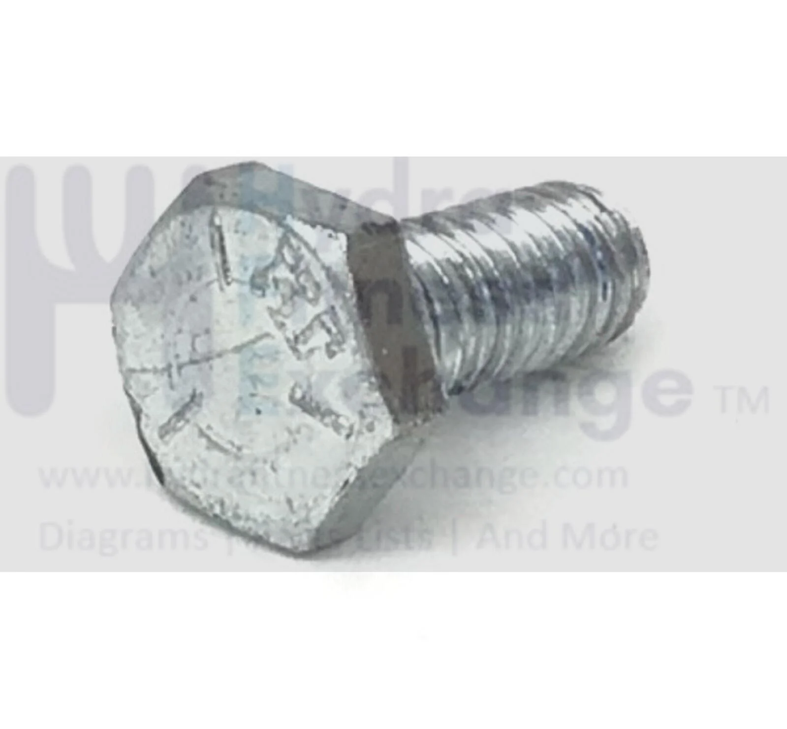 Concept II Model D w PM5 Indoor E Rower Hex Cap Bolt Screw 1/4"-20x4mm 1243