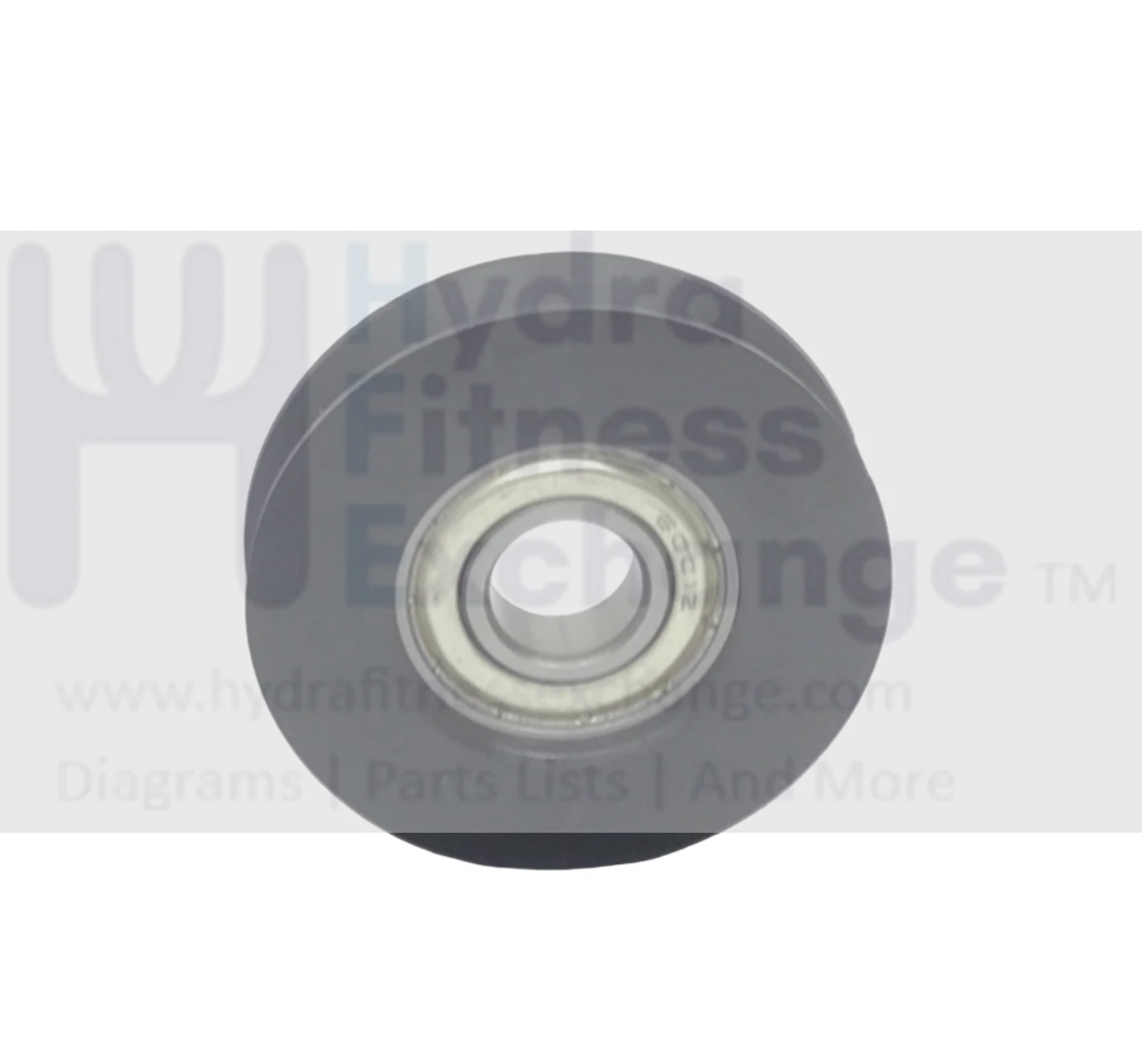 Concept II SkiErg Ski Machine Pulley Assembly 2834