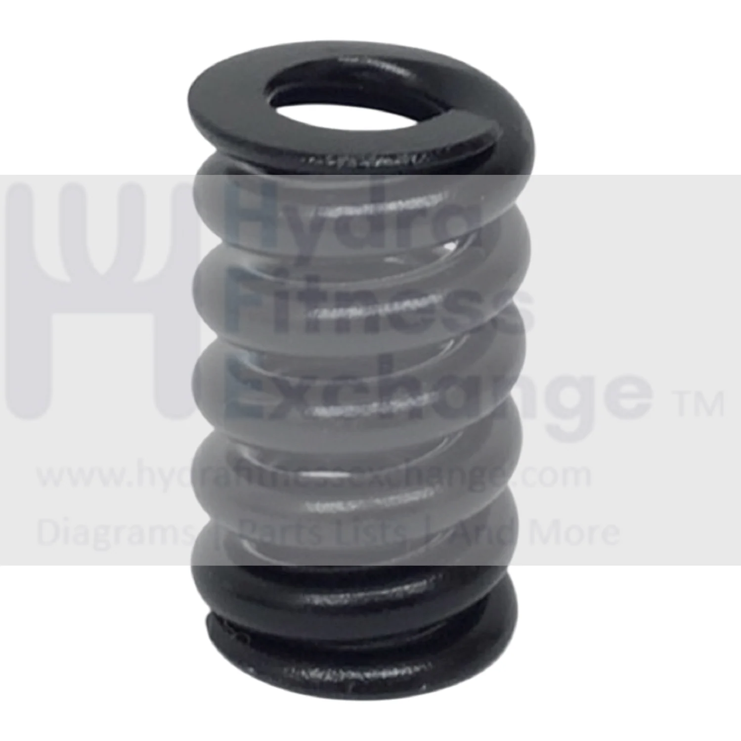 Cybex 8011 Personal Strength System Spring Detent Pin 2783473