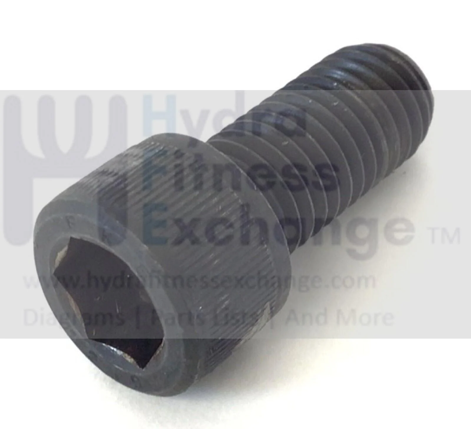 Cybex Arc Trainer 360A 362A Elliptical Hex Cap Screw M8 X 25 KHS-21990