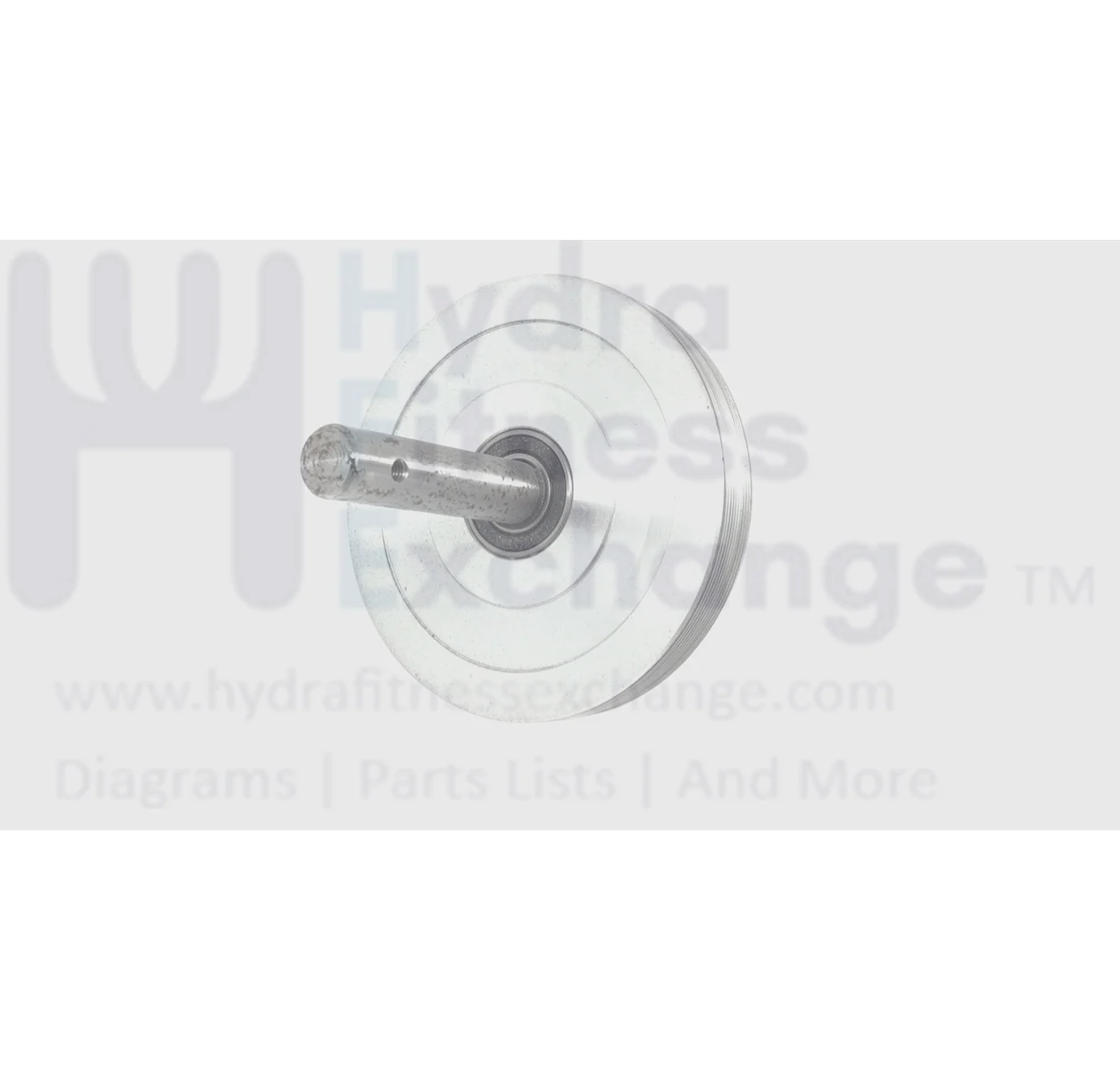 Cybex Elliptical Pulley Assembly Double 750A-110