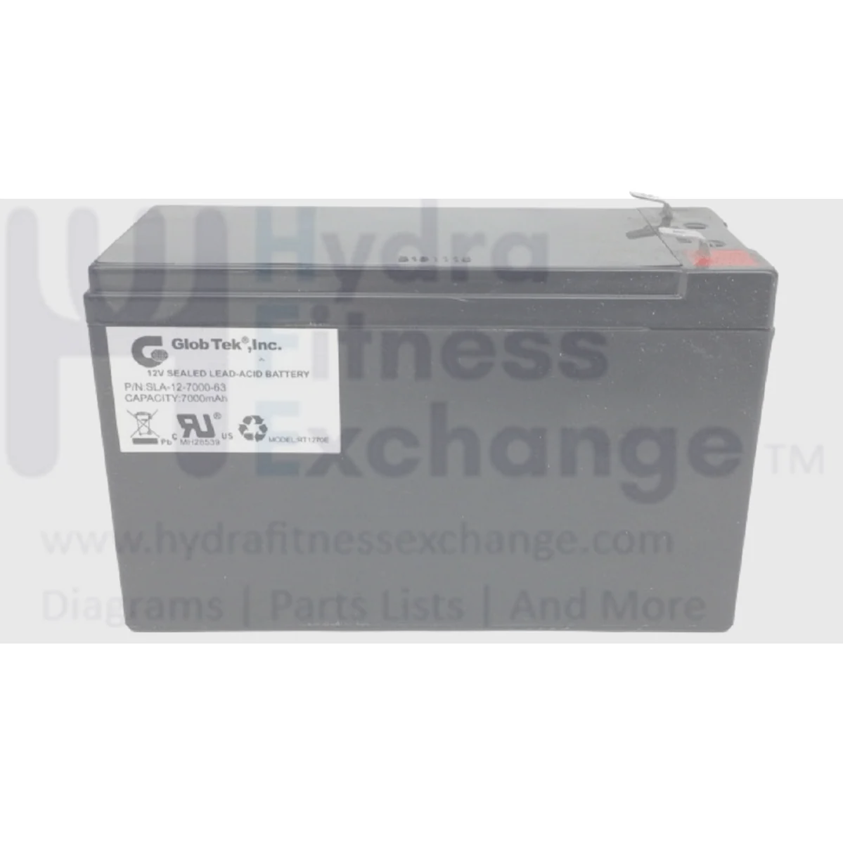 Cybex Life Fitness Elliptical Sealed Lead Acid Battery 12V EC-18267