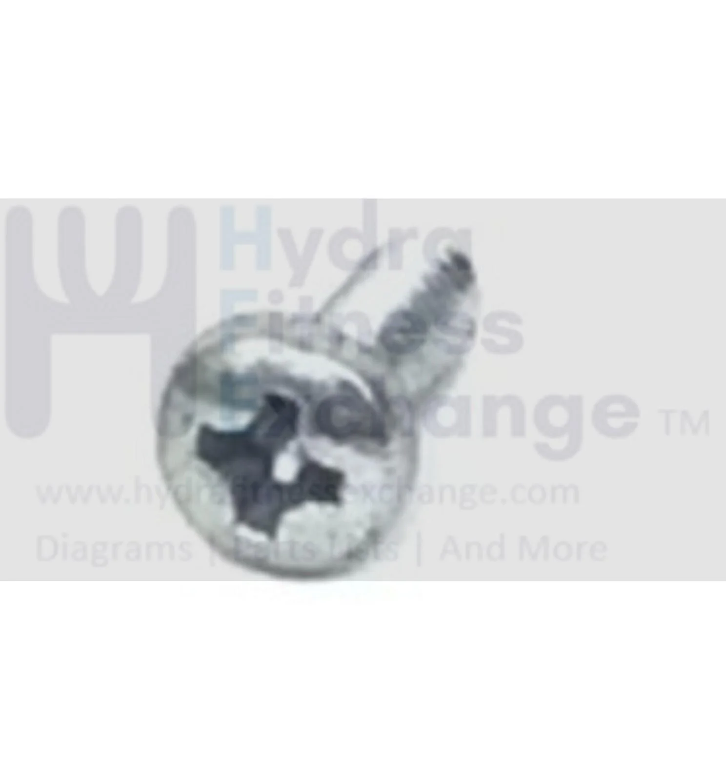 Cybex Life Fitness Treadmill Receptacle Mounting Screw 10mm 0017-00101-1969