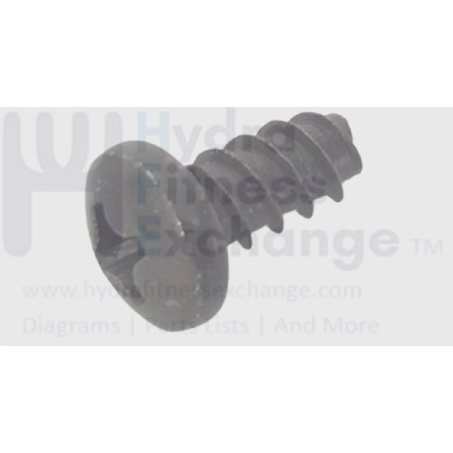 Cybex Prestige Strength System Plastid Tap Screw Black 8-16 X .38 HT552511