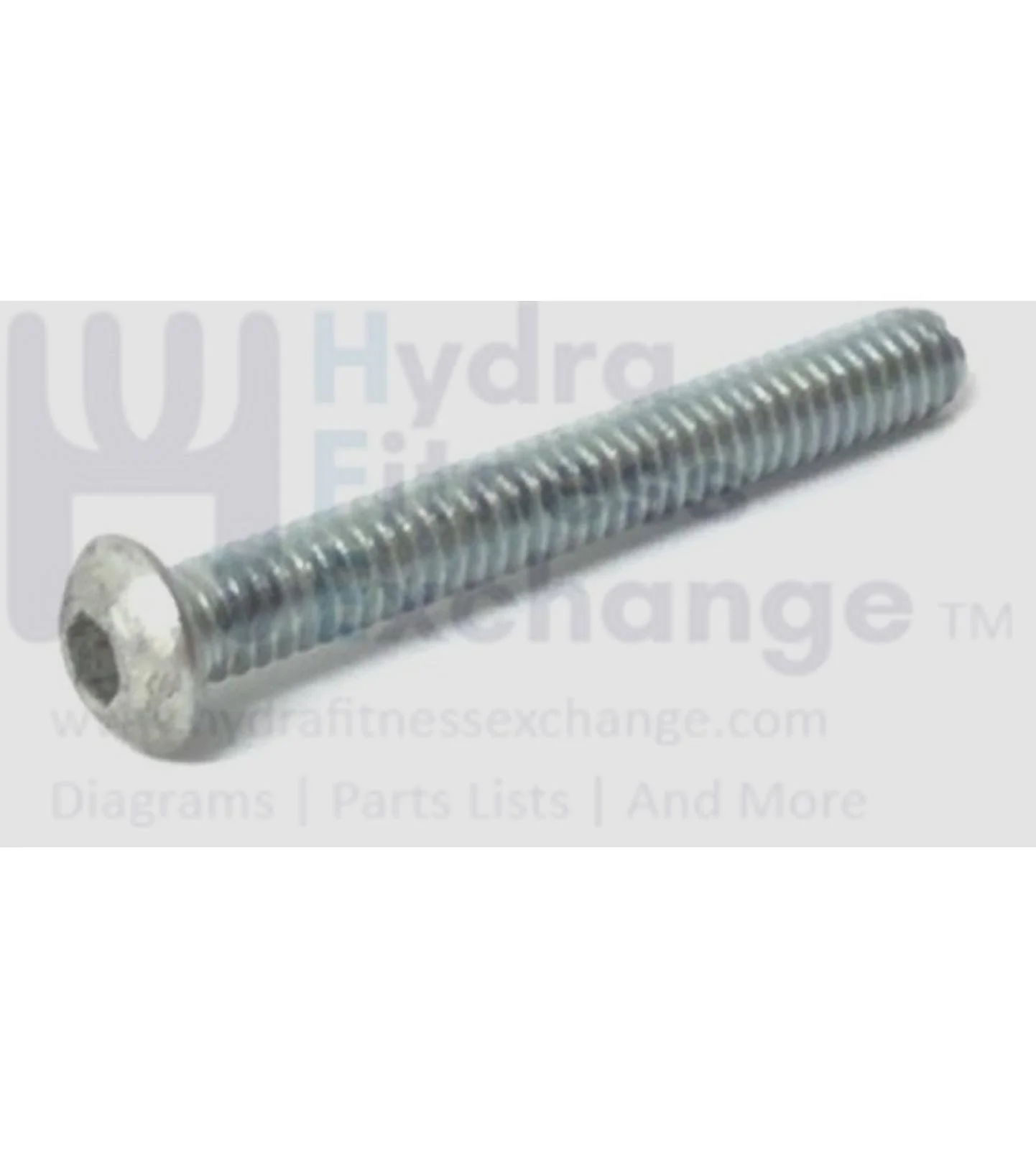 Cybex Strength System Button Head Screw 1-4-20x2 Inch HC620431