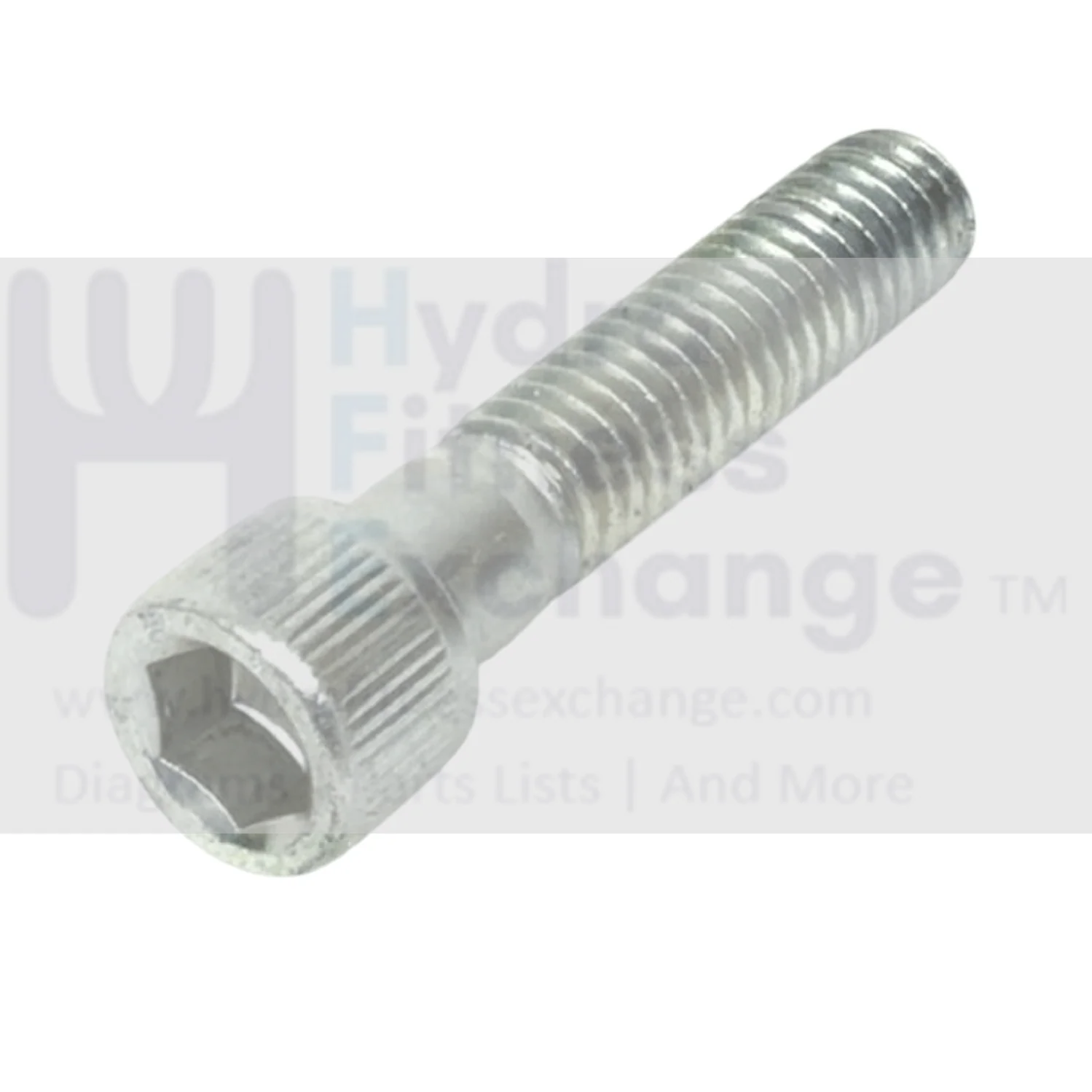 Cybex Strength System Hex Socket Cap Full thread Screw 1.75" x 3/8 x 16 3586133 - Image 2