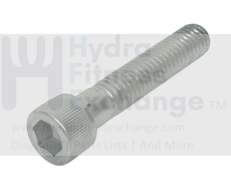 Cybex Strength System Hex Socket Cap Full thread Screw 2" x 3/8 x 16 3747793