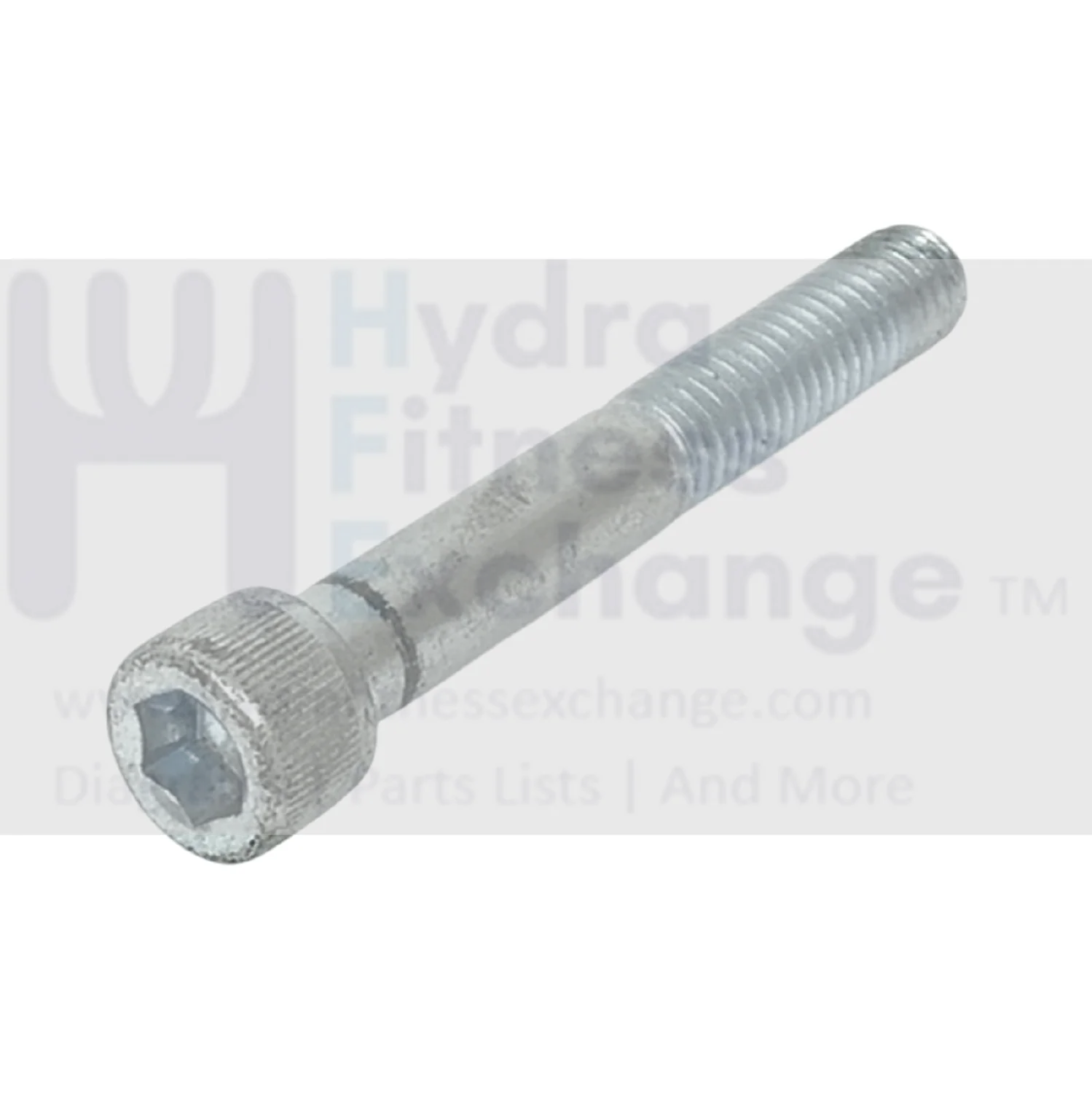 Cybex Strength System Hex Socket Cap Partial thread Screw 2.75" x 3/8 x 16