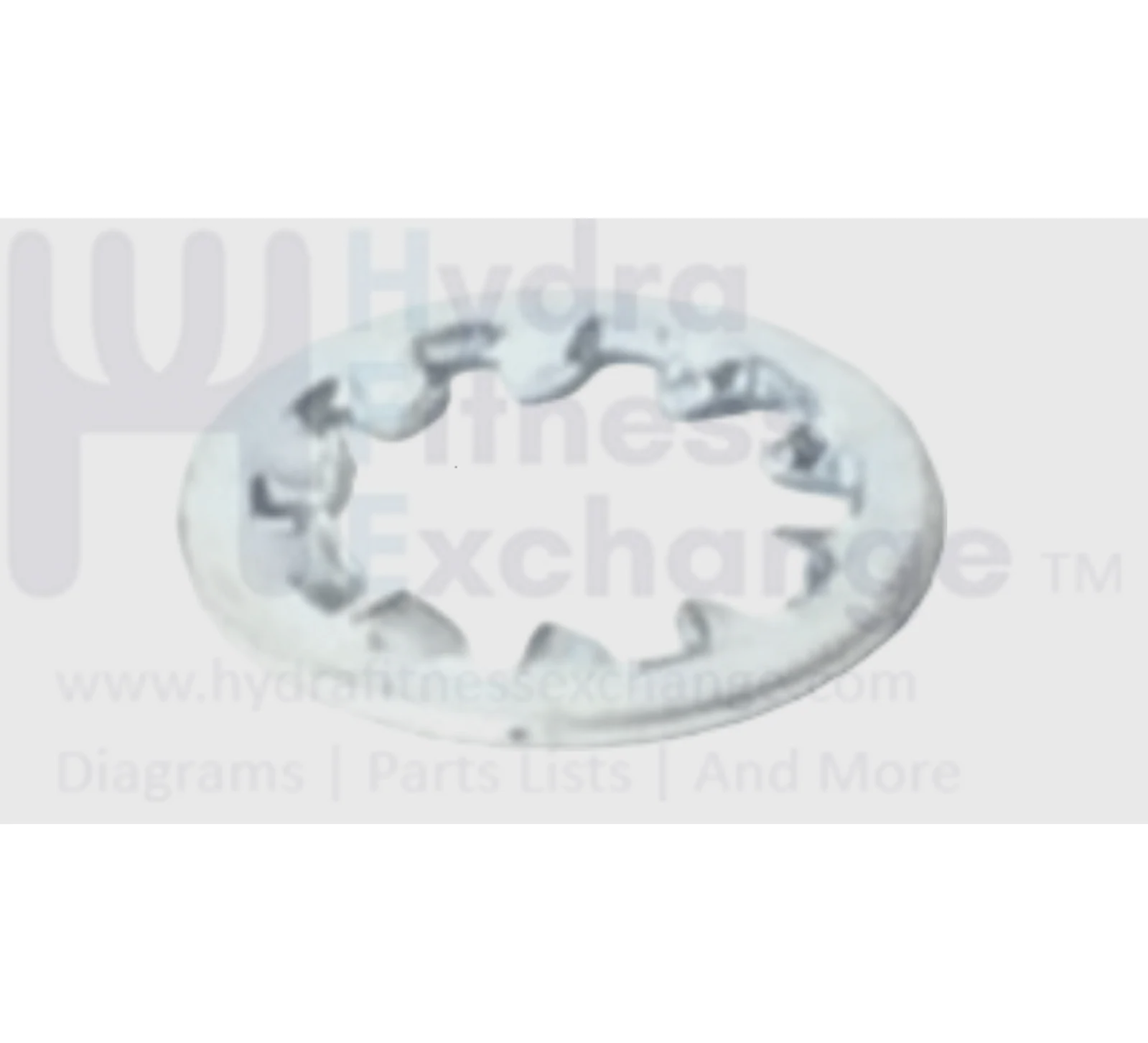 Cybex Strength System Lock Washer Js347400