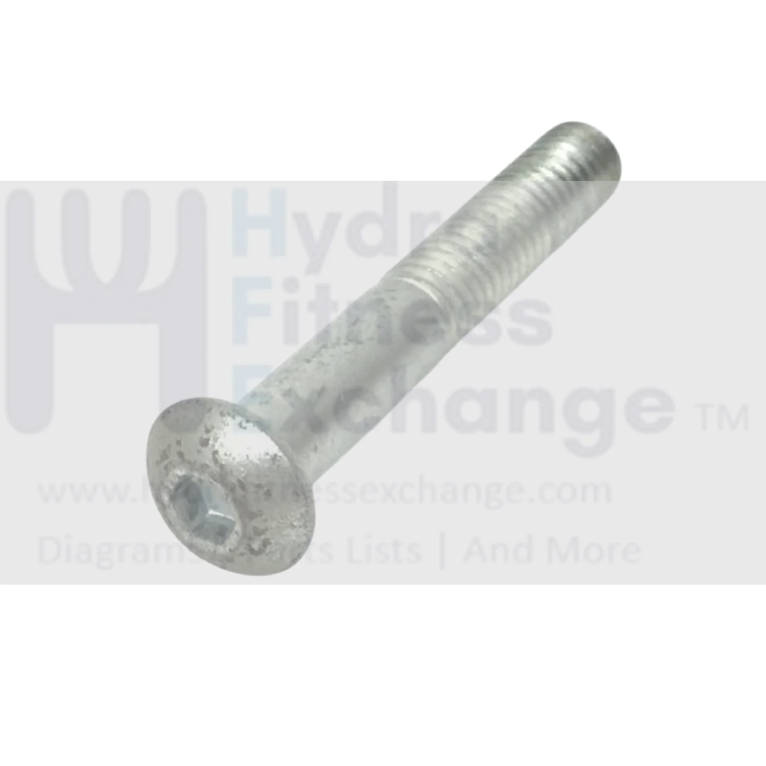 Cybex Strength System Partial thread Screw 2.5" 3/8 x 16 9261593 - Image 2