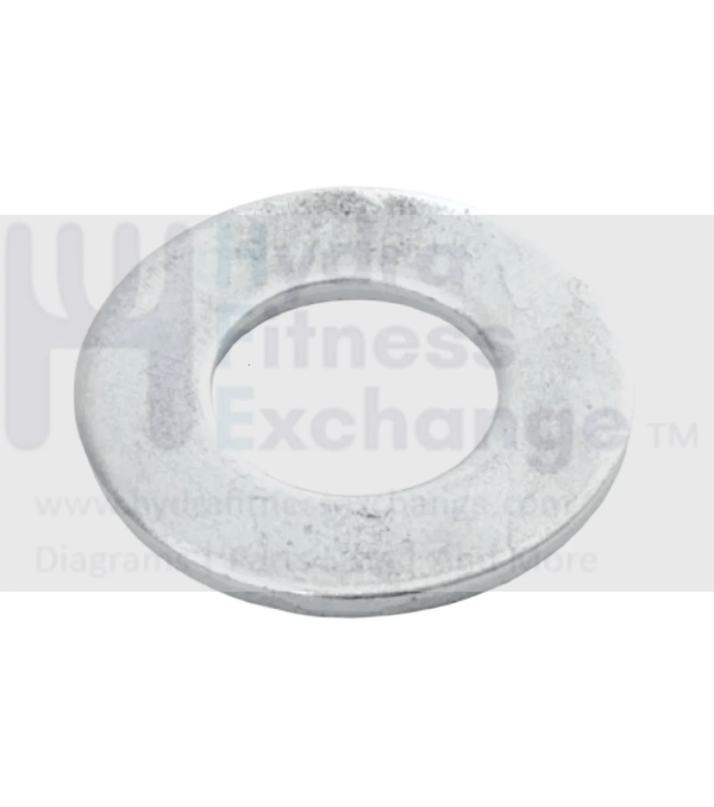 Cybex Strength System Sae Washer .375 HS347600