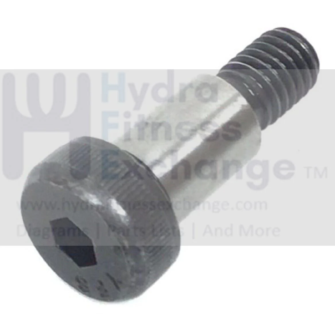 Cybex Strength System Screw Bolt .500x.75.375-16 JD383315
