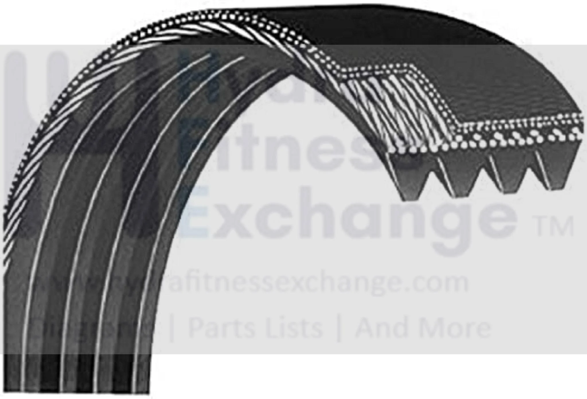 Cybex Tectrix Upright Recumbent Bike Cycle Secondary Drive Belt 700r 500c 500r