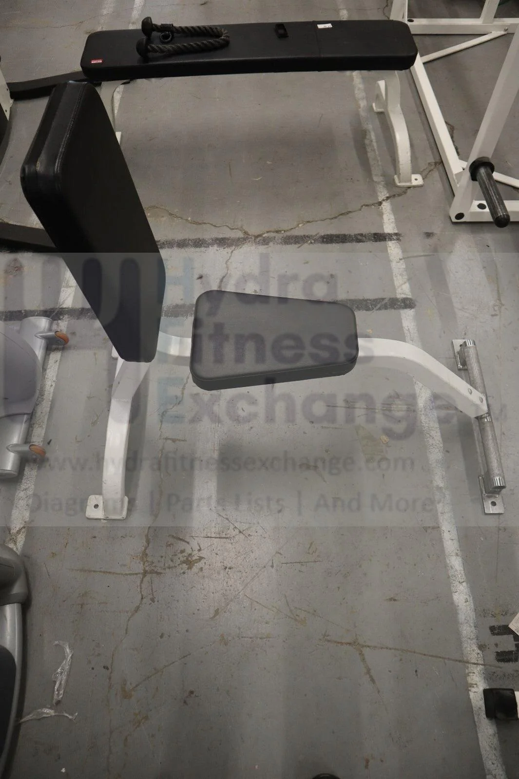 Cybex Upright Utility Bench 552091 Freeweights & Accessories