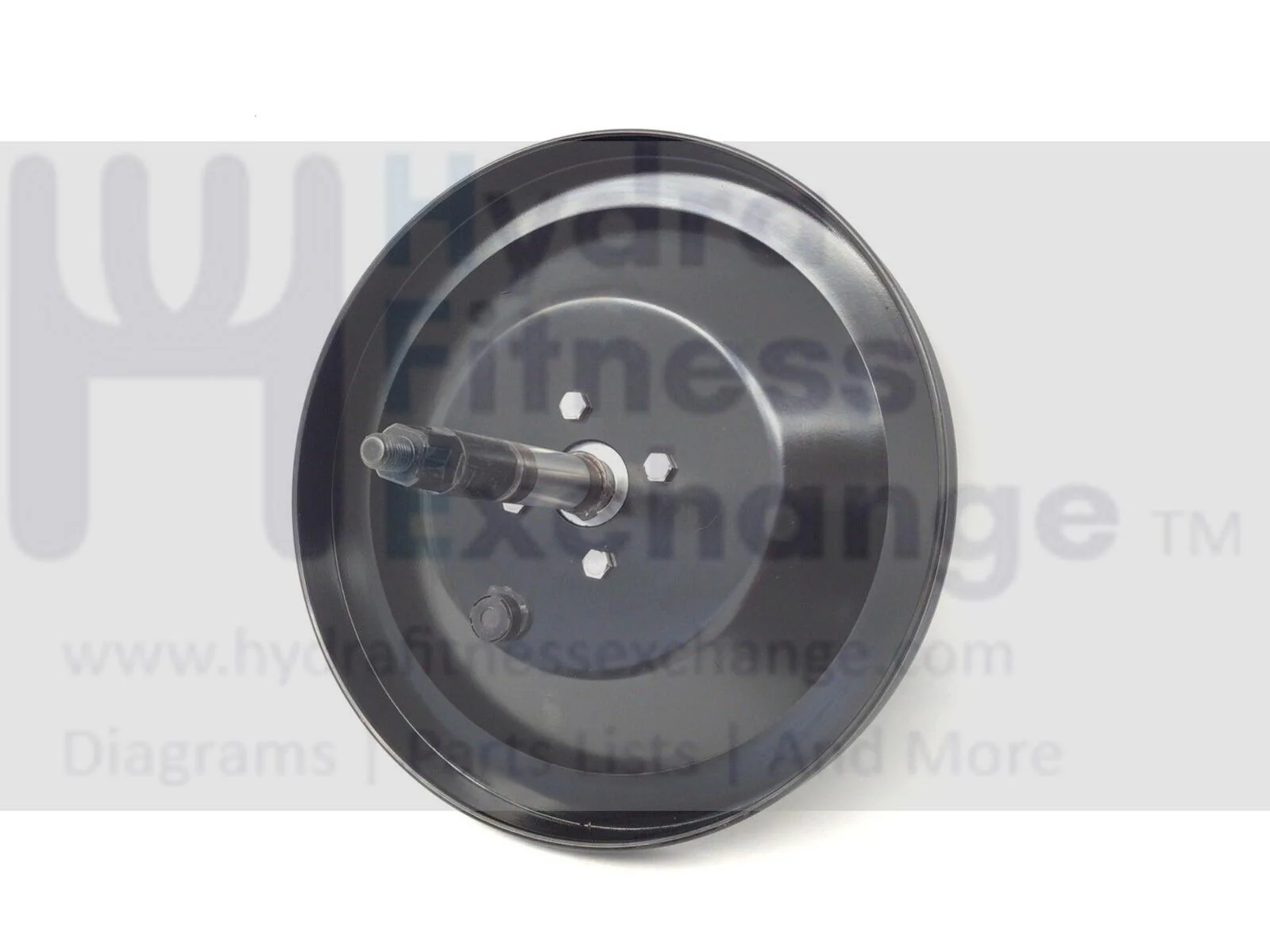 Diamonback 1260SR Recumbent Bike Flywheel Pulley Assembly 1260SR-PLLY