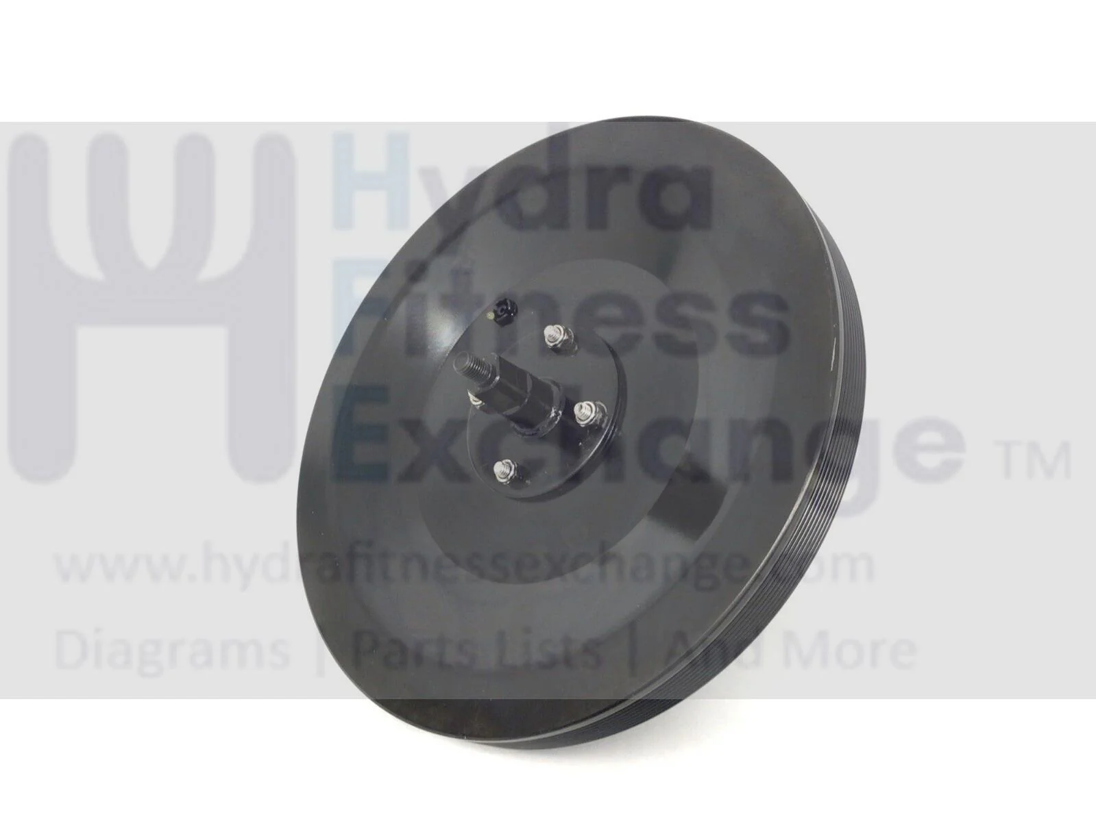 Diamonback 1260SR Recumbent Bike Flywheel Pulley Assembly 1260SR-PLLY - Image 2