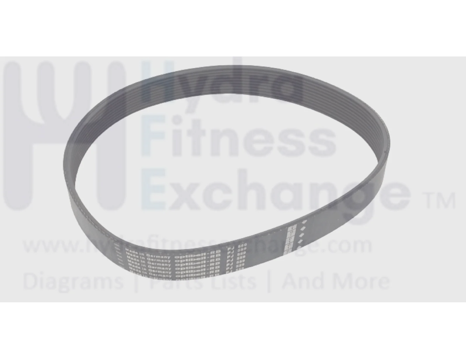 Used Diamondback 1200T Treadmill Motor Drive Belt 21" 10Ribs PJ559 & 220J - Image 2