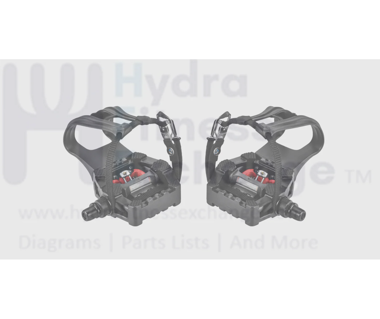Echelon Stationary Bike Left & Right Foot Pedal Pair Spindle Size 9/16"