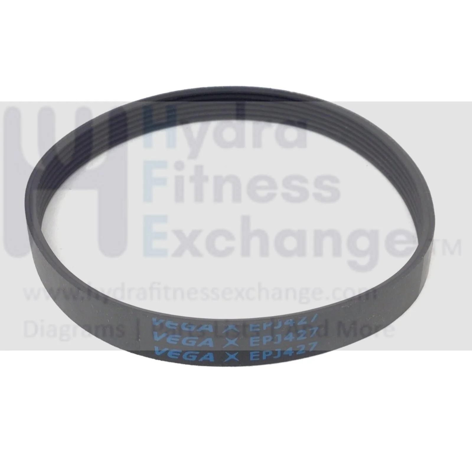 Echelon Stride ECH-Stride Treadmill Motor Drive Belt EPJ427 16" Ribs 6 mtr-dr-27 - Image 2