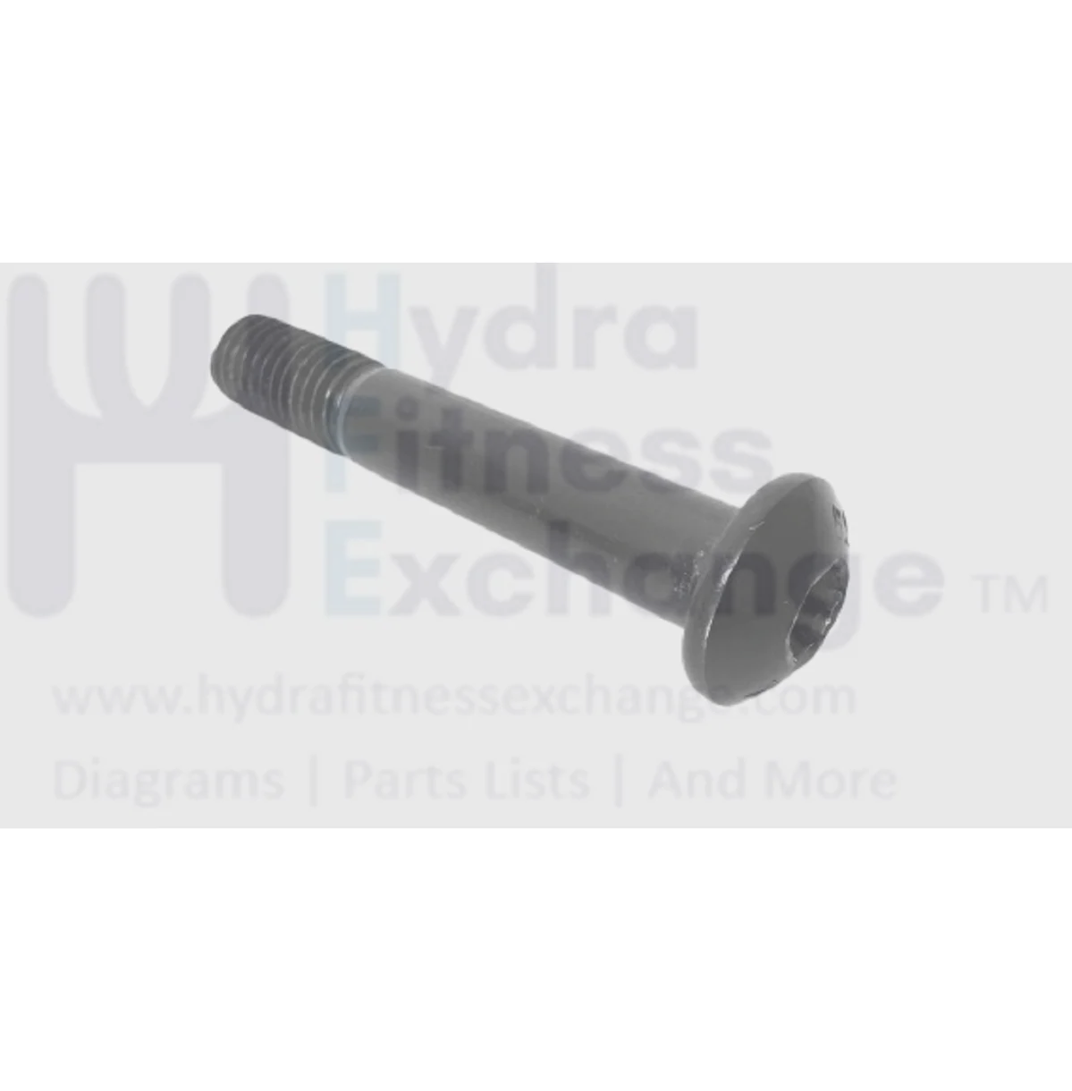 Epic Freemotion Gold's Gym Health Rider Nordictrack Weider Icon Weslo Gold's Gym Proform Epic Elliptical Button Hex Socket Screw M10-1.5 X 60MM 208938