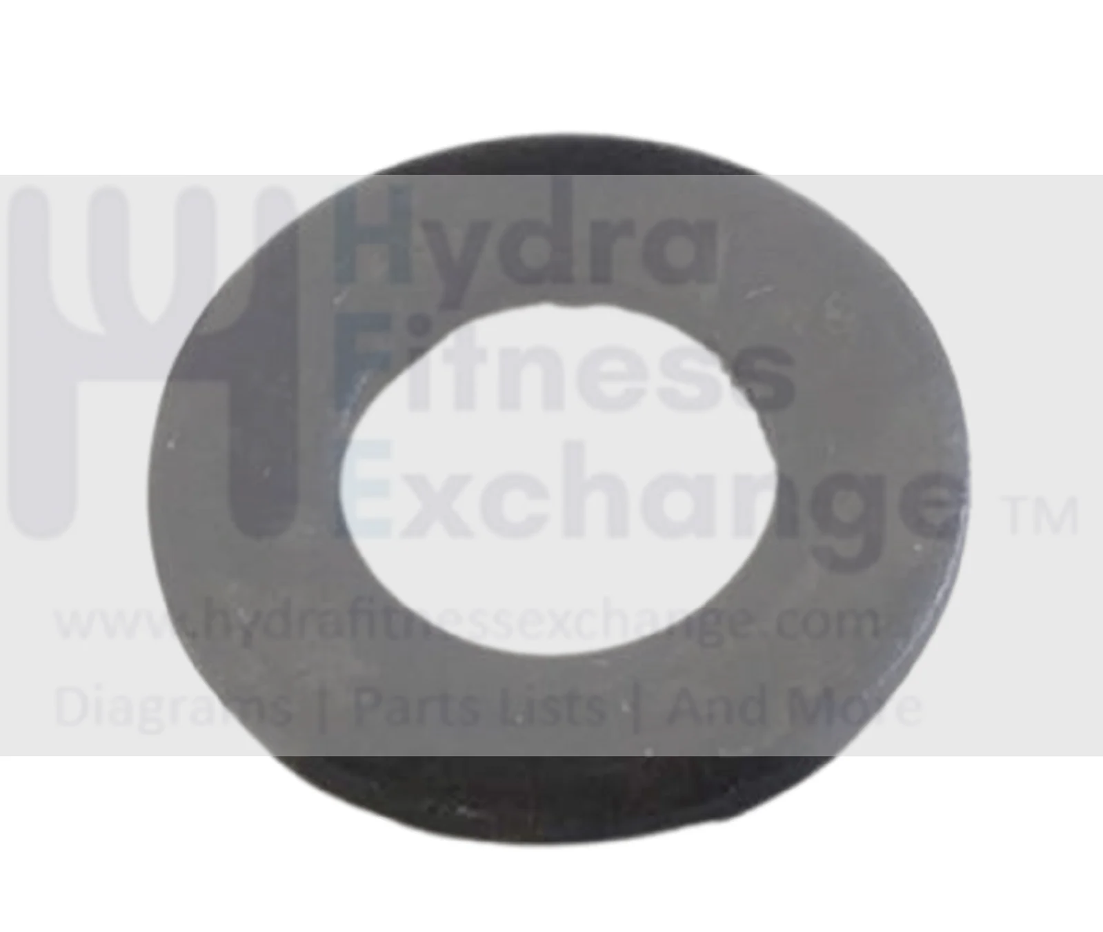 Epic FreeMotion Gold's Gym HealthRider Elliptical Flat Washer M8x16mm 014030