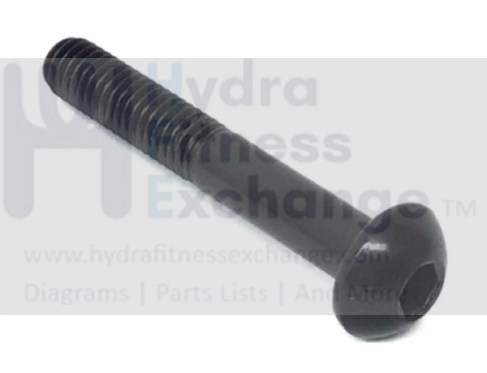 EPIC FreeMotion GOLD'S GYM Icon Stationary Bike Button Head Screw M6x40mm 208914
