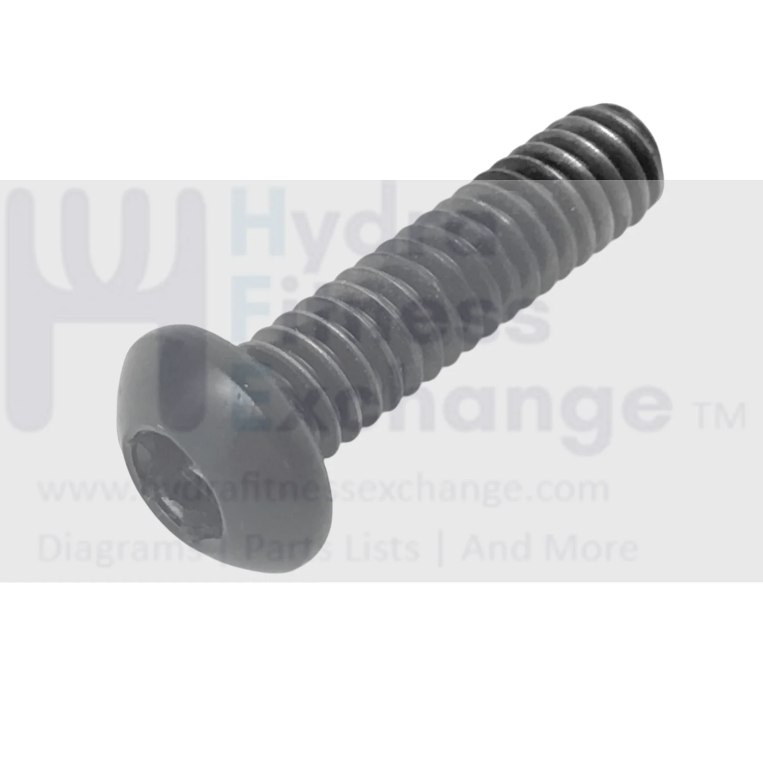 EPIC FreeMotion NordicTrack Treadmill Button Head Screw 1/4" -20 x 1 013492