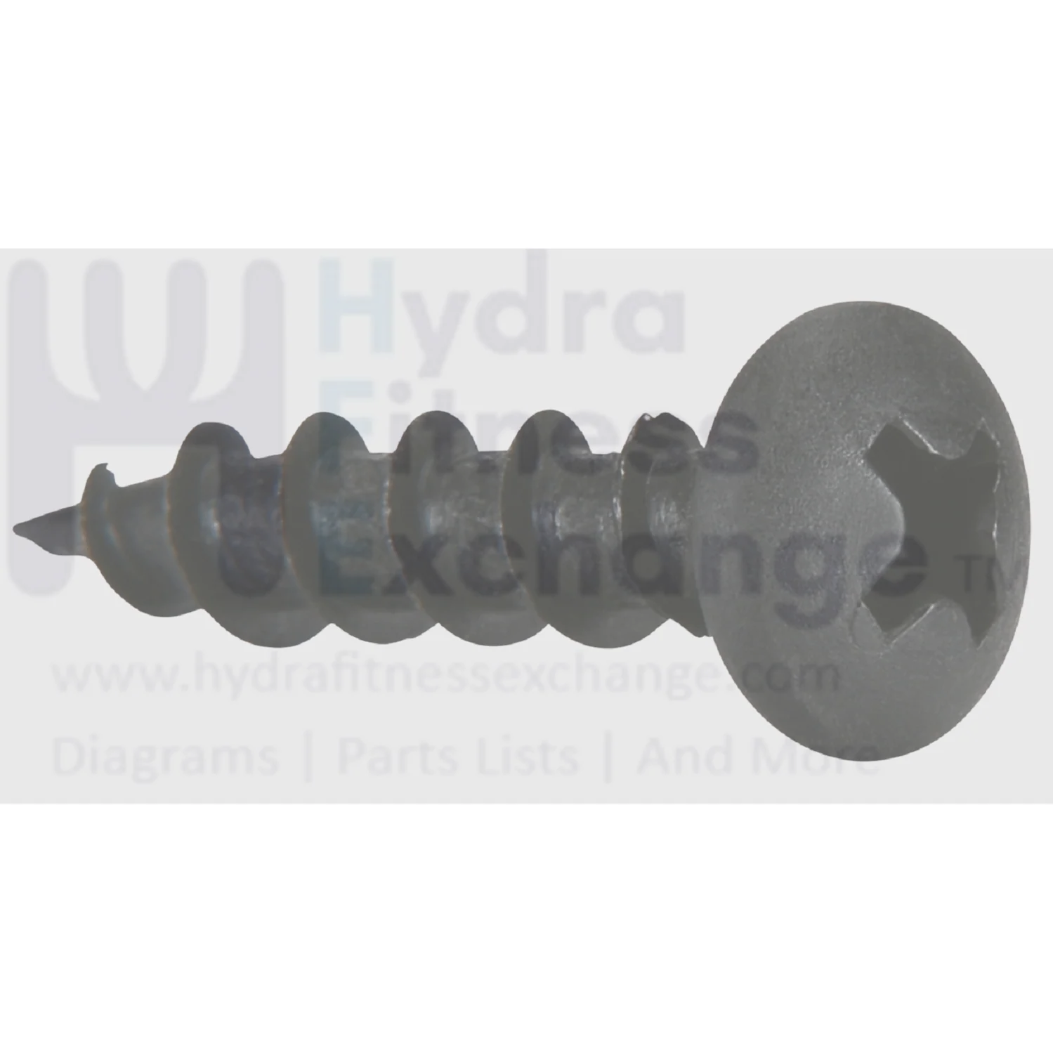 Epic Gold's Gym Good Family Freemotion Health Rider Icon Image Nordictrack Proform Reebok Weslo Treadmill Button Head Socket Screw 10 x .750" 013316