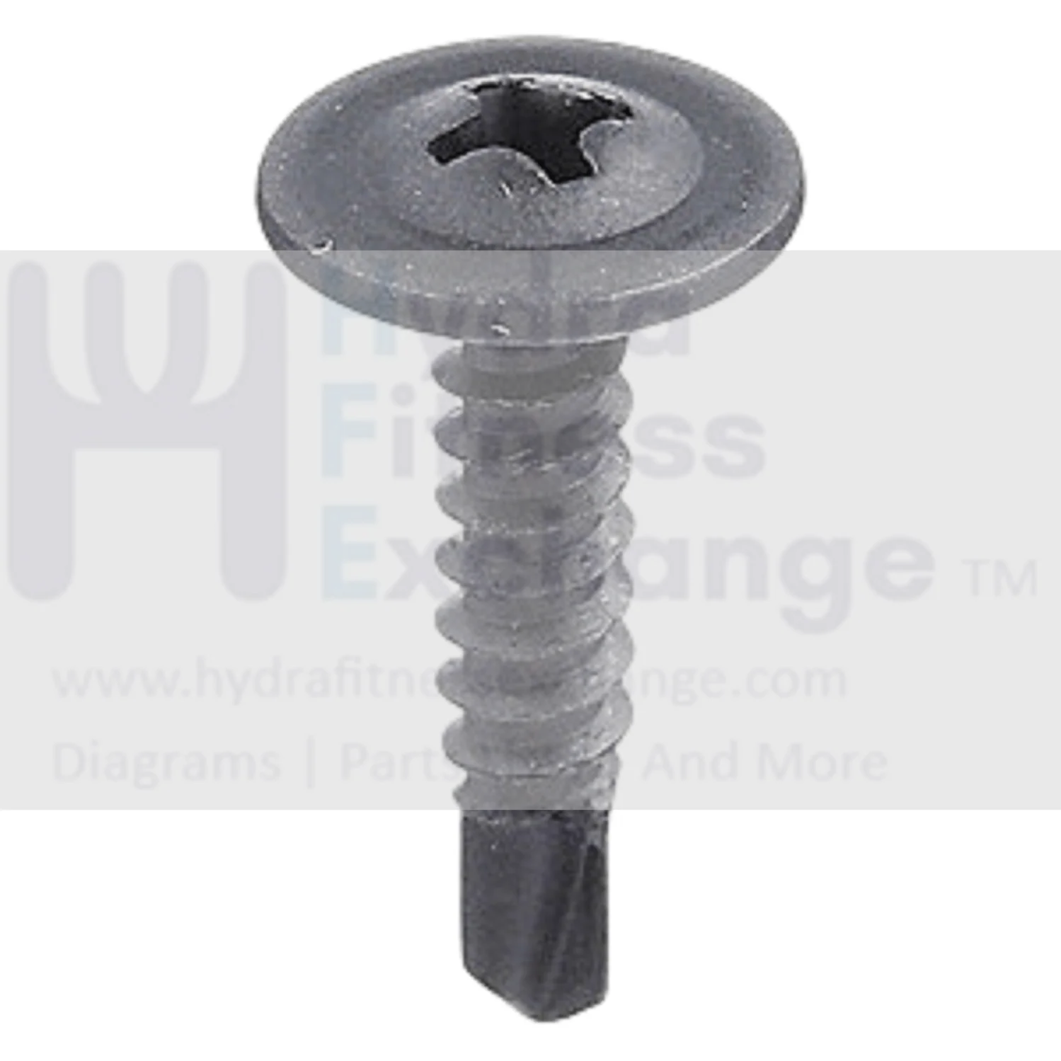 Epic Gold's Gym Good Family Image Weslo Weider Tony Little Reebok Freemotion Hidden Grove Icon Nordictrack Proform Treadmill Washer Head Screw 8 X 3/4" 013300