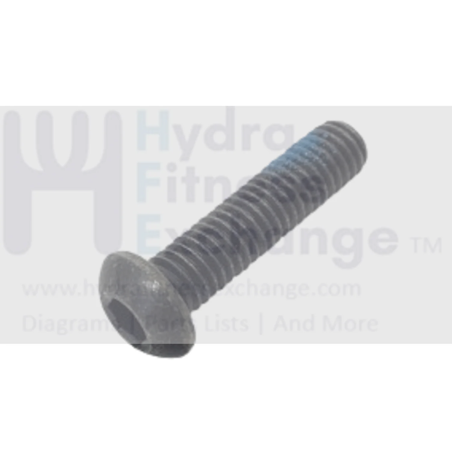 EPIC NordicTrack Weider Treadmill Bolt M6 - 1.0 x 25mm 307779
