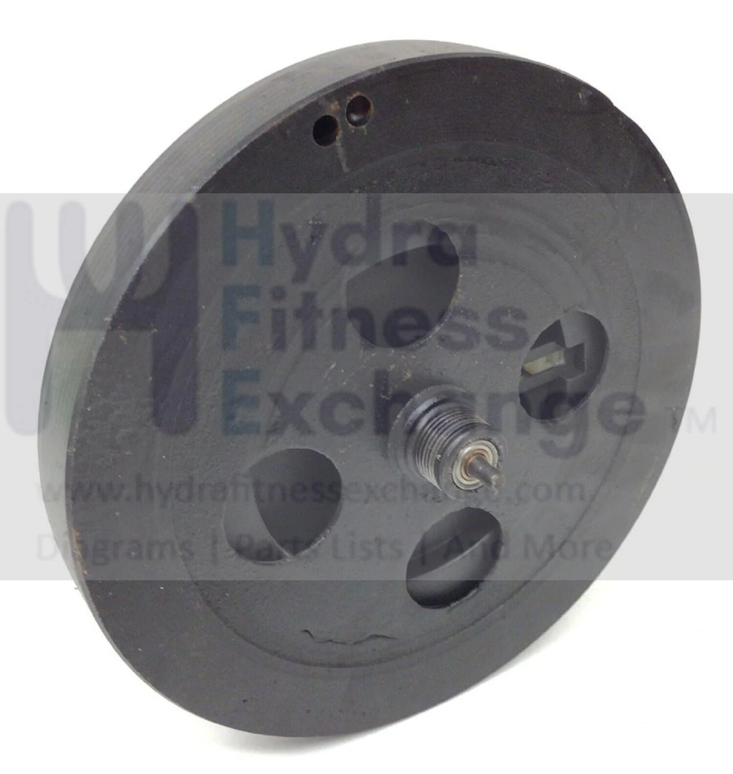 Epic Proform Elliptical Magnetic Resistance Eddy Brake Flywheel Mechanism 321221