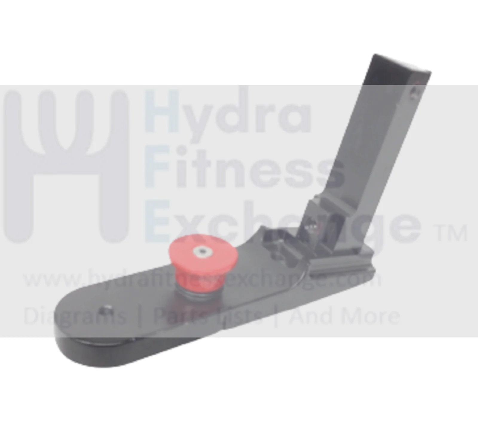 Expresso Fitness S3U Stationary Bike Front & Back Seat Adjustment